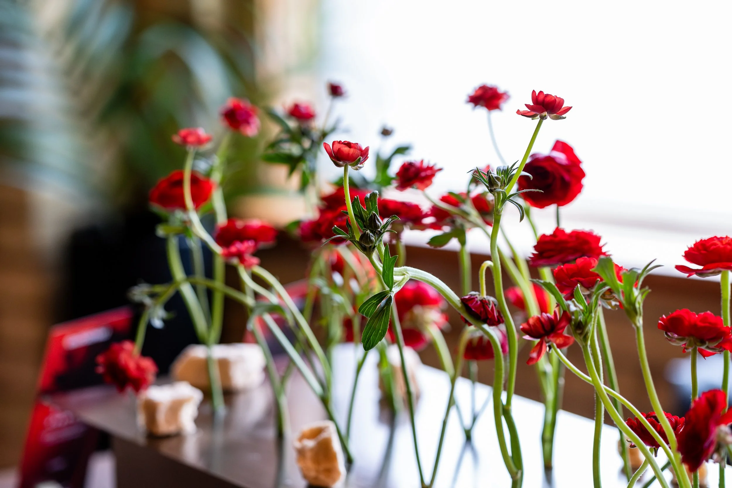 2025-11-15 Gaggenau Event-77.jpg