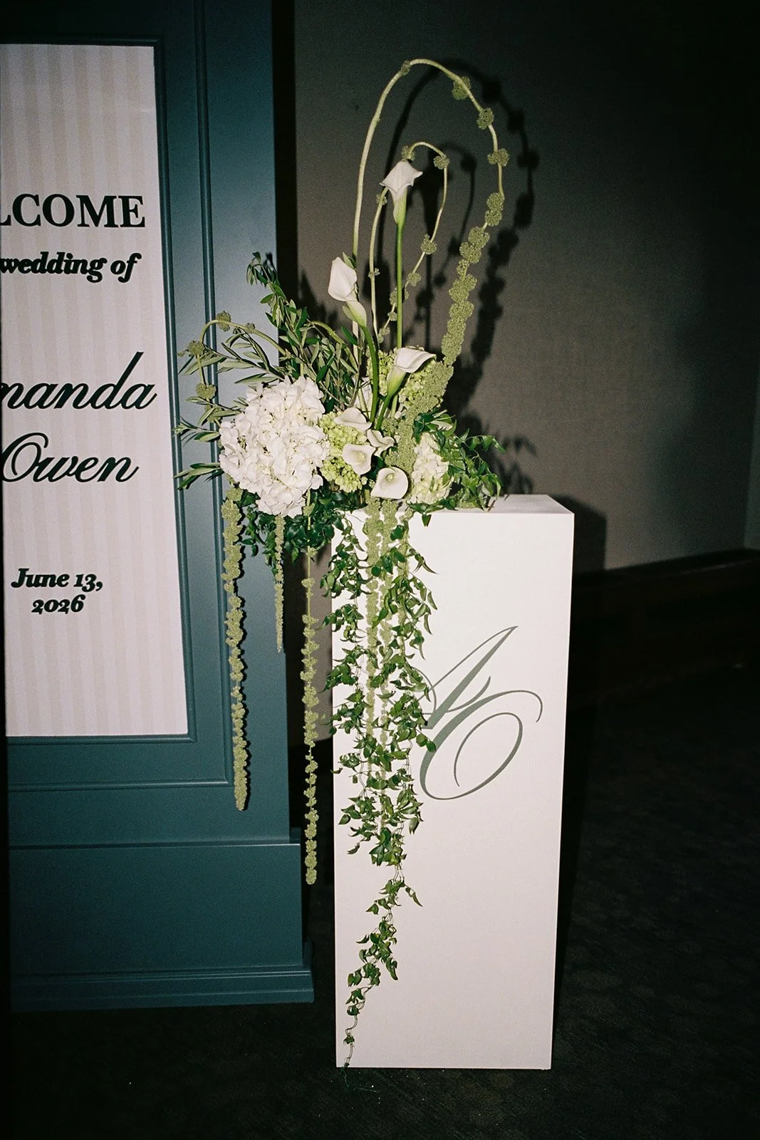 IMG_1218(1).JPG
