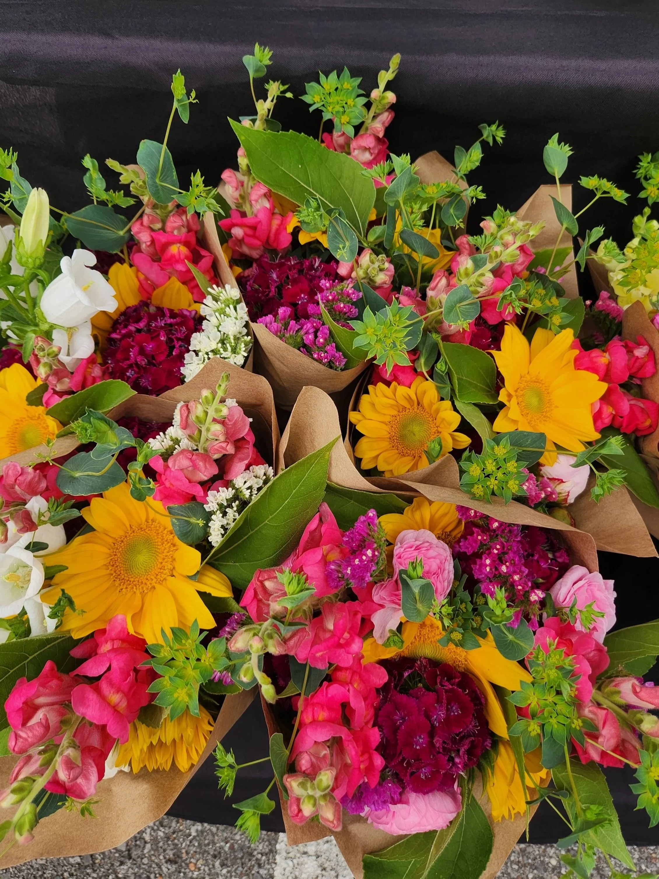 20250426_074811.jpg (Copy)