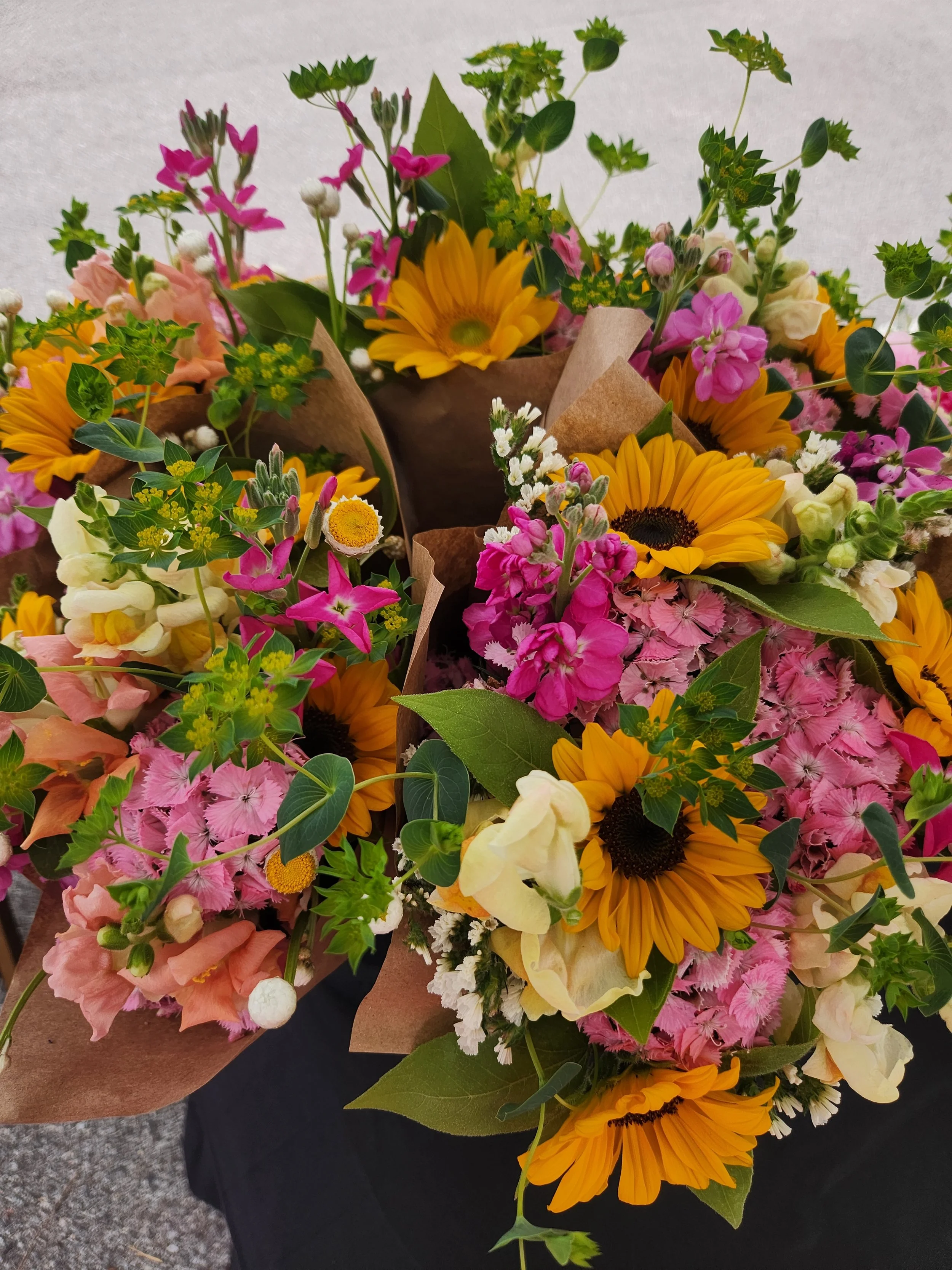 May Flower Subscription