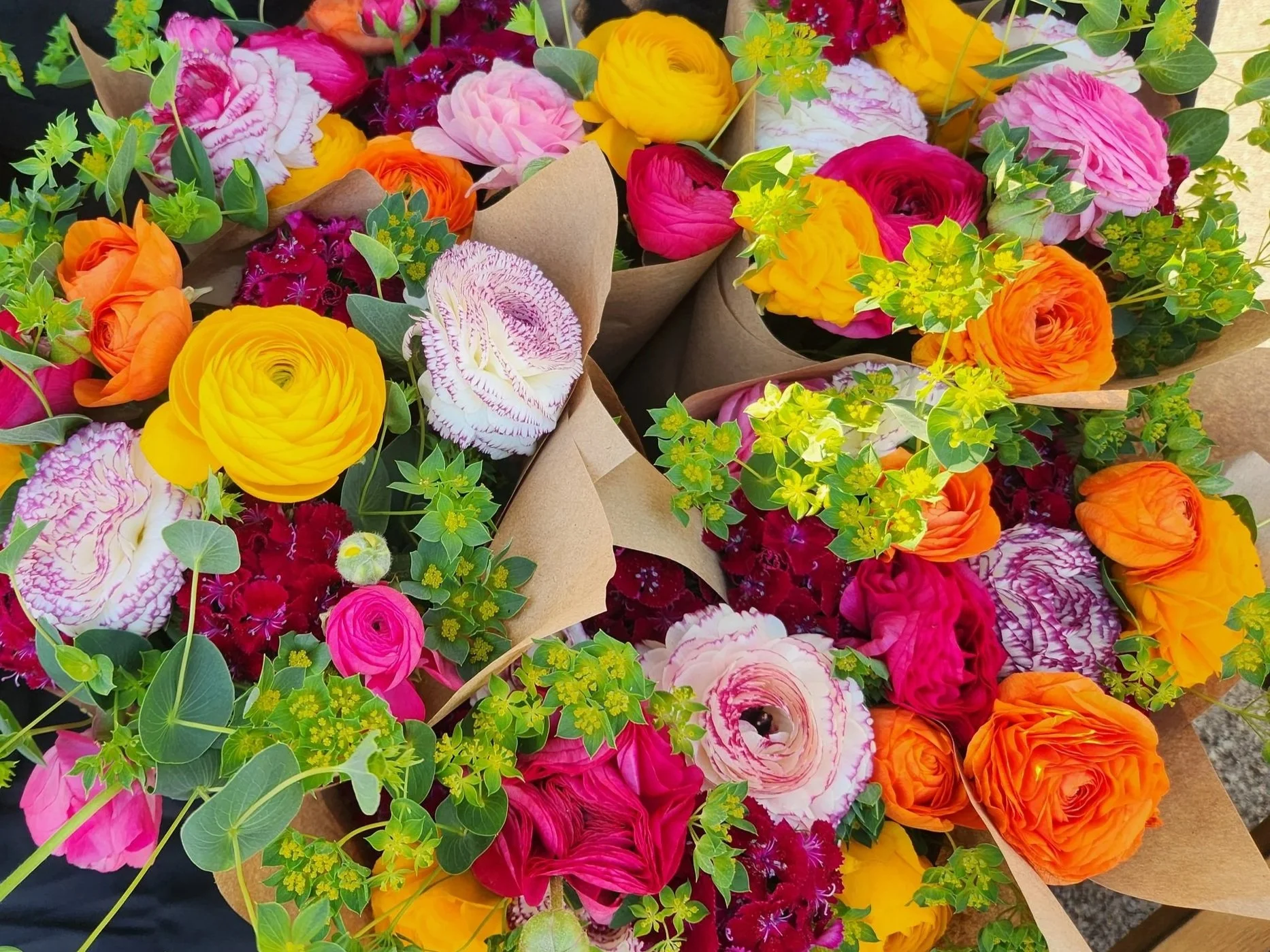 20250412_075306.jpg (Copy)