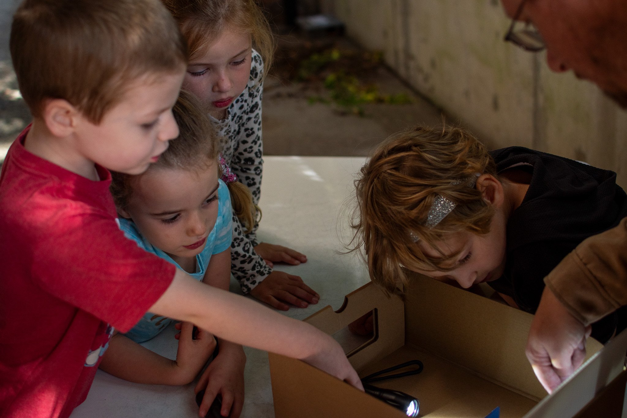 Kindergartners learn about light and shadows..jpg