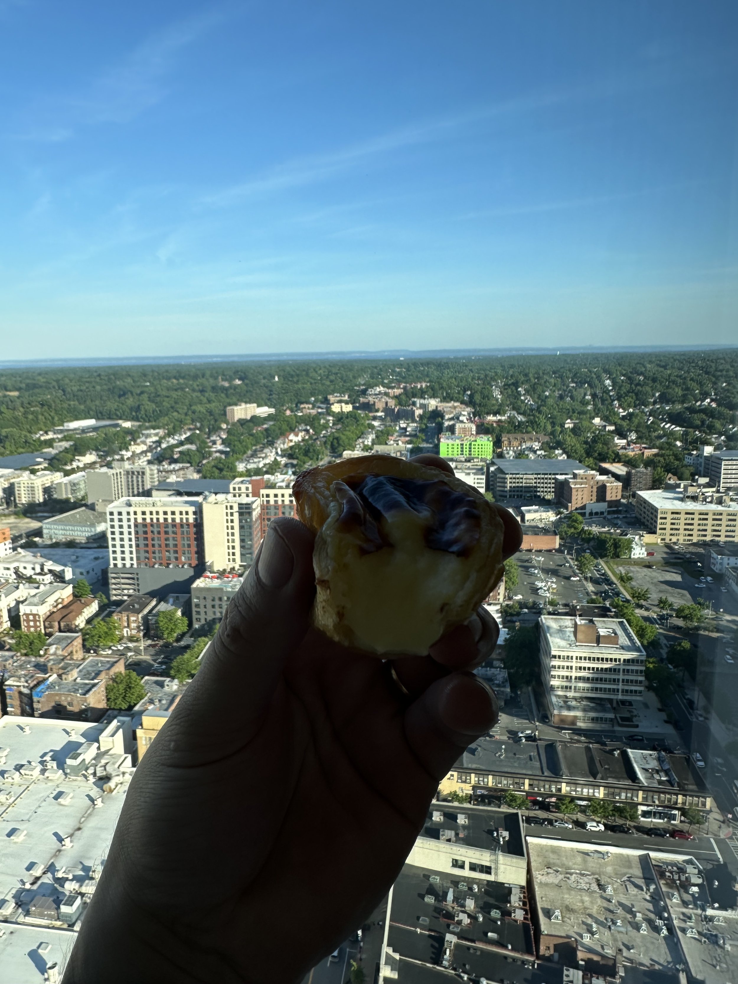 Pastel de nata Nova york kanopi