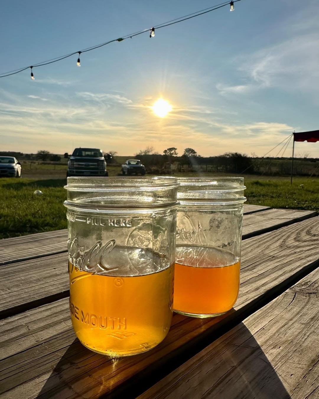 It&rsquo;s Sunday. The Wild Bunch Brewing Company tap room is open today 3-9 pm. Come by and enjoy some pints and some good  food by Margy. 
Come and try the Farmgrass ale. It is light and refreshing for the warmer weather. We also have air condition