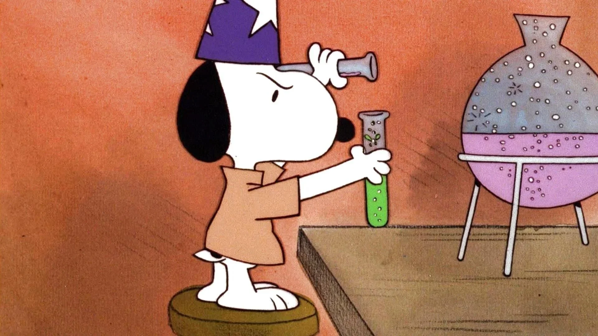 Blog 6 - I am a PhD Candidate!!