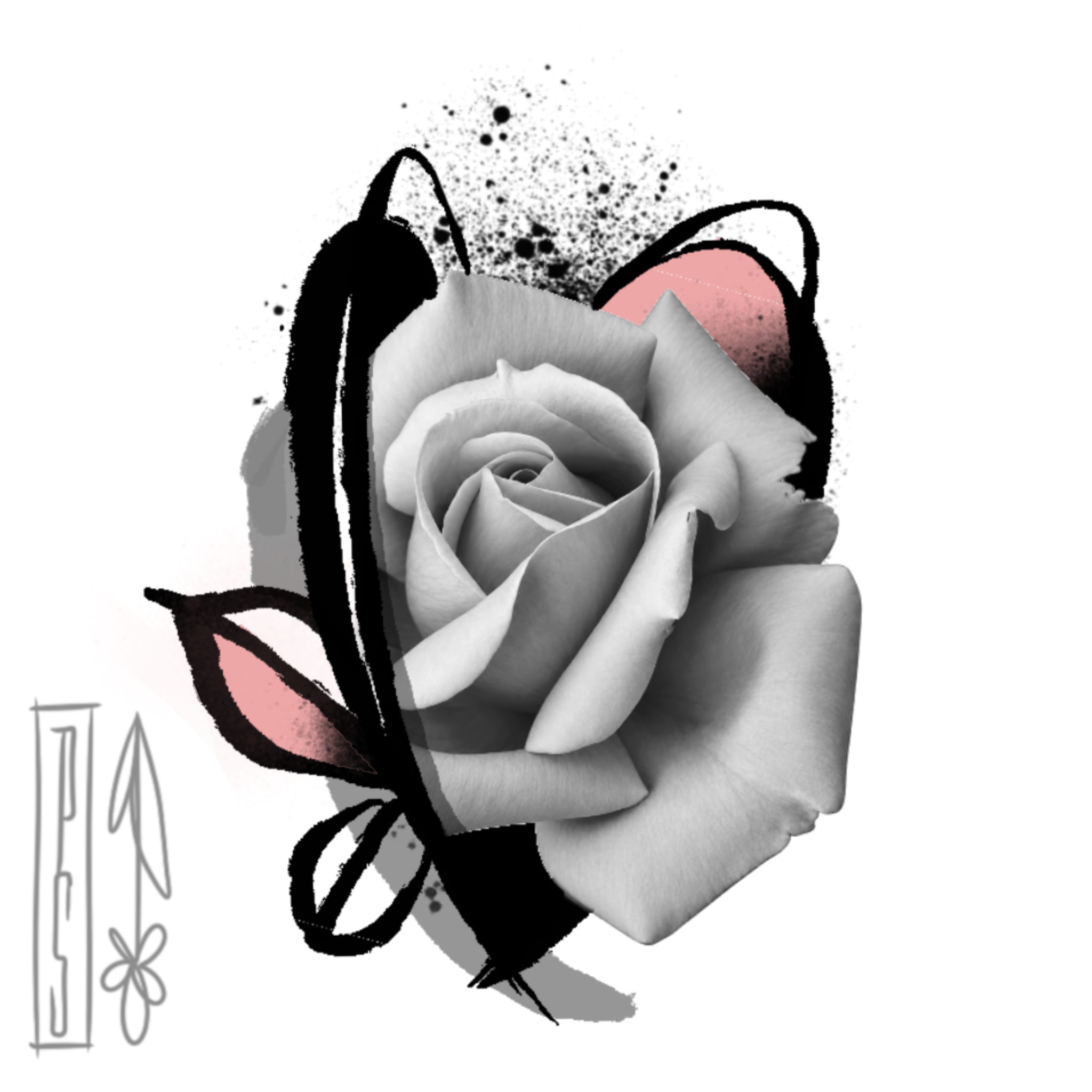 IMG_4284.png