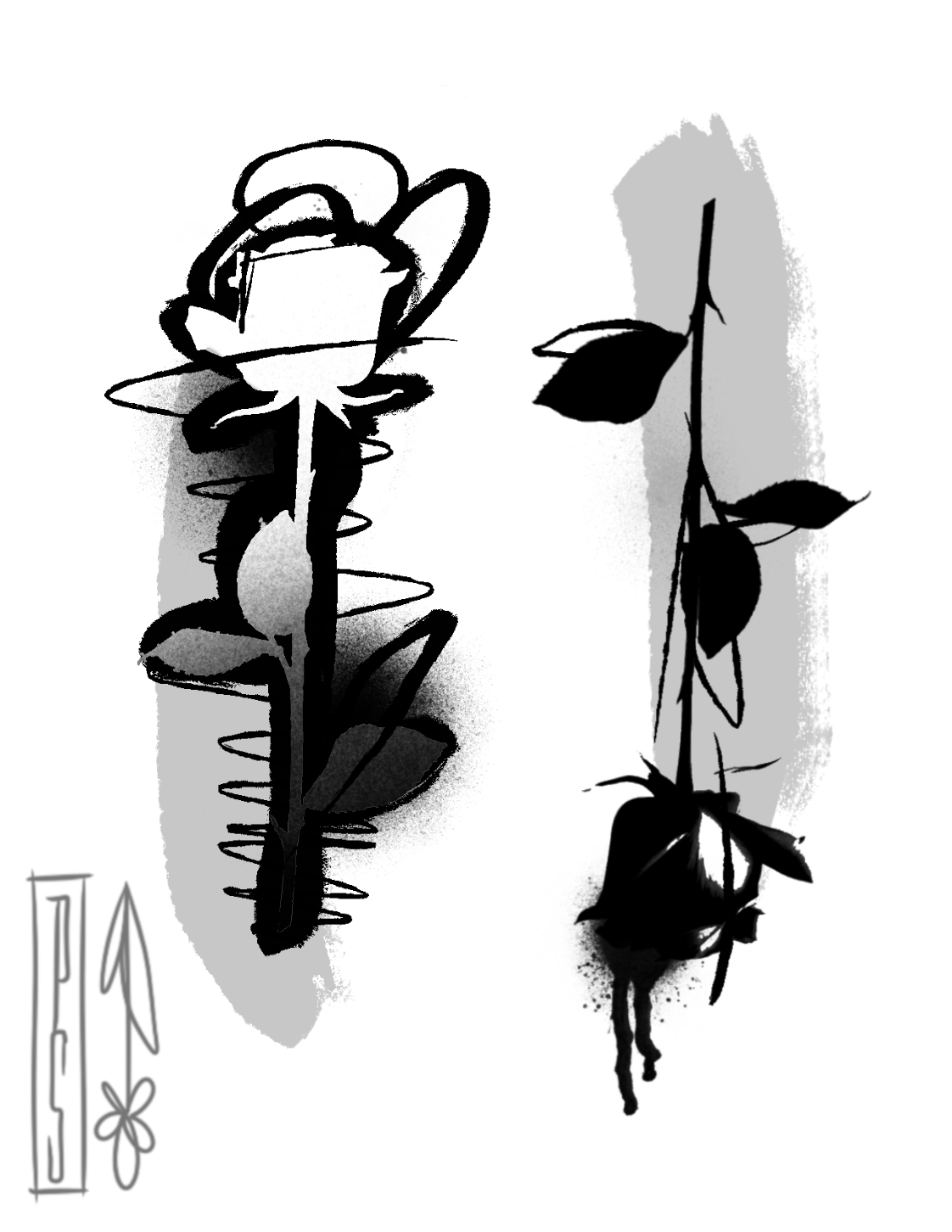 IMG_4292.png