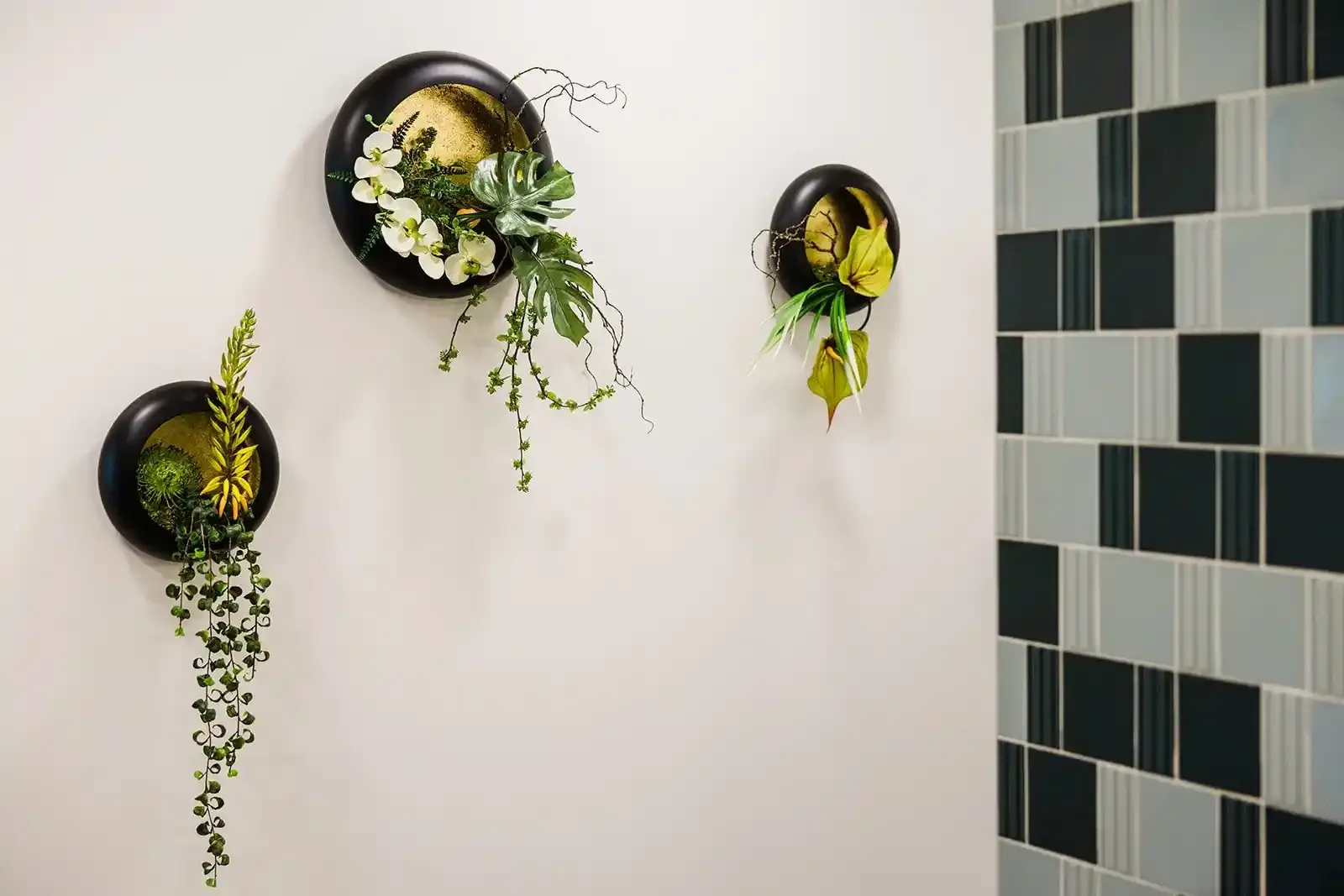Black spherical wall planters with orchids and green foliage on a white wall at Smile Bar in Calgary.