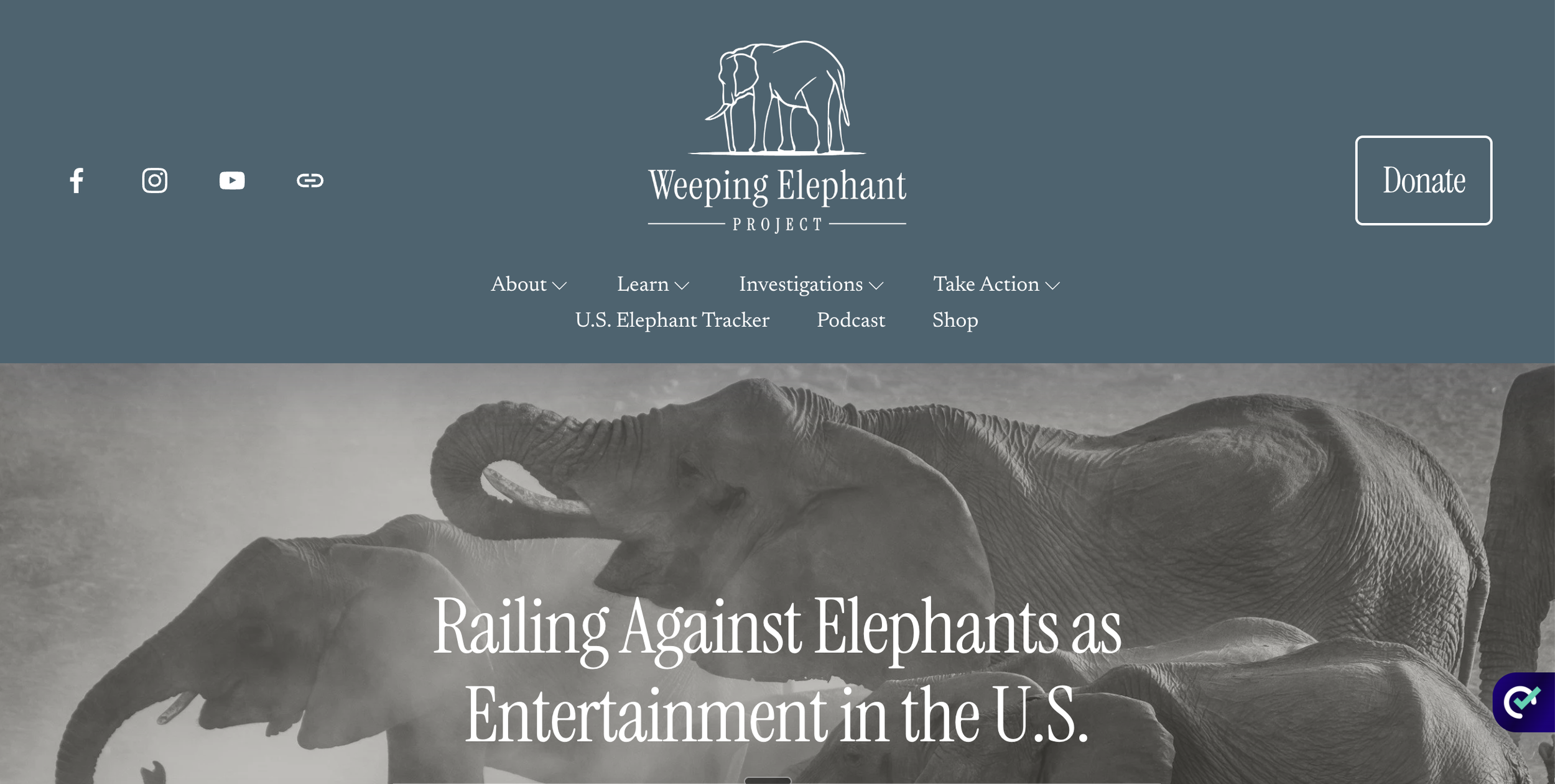 Weeping Elephant Project