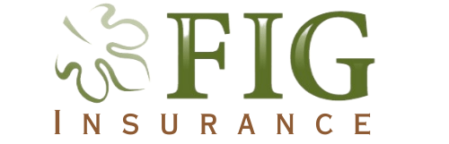 FIG Insurance