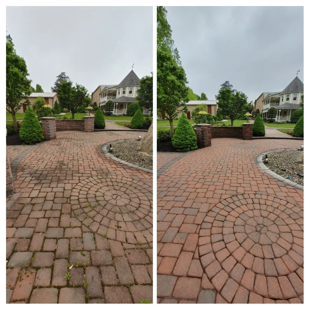 20220513_170943-COLLAGE.jpg