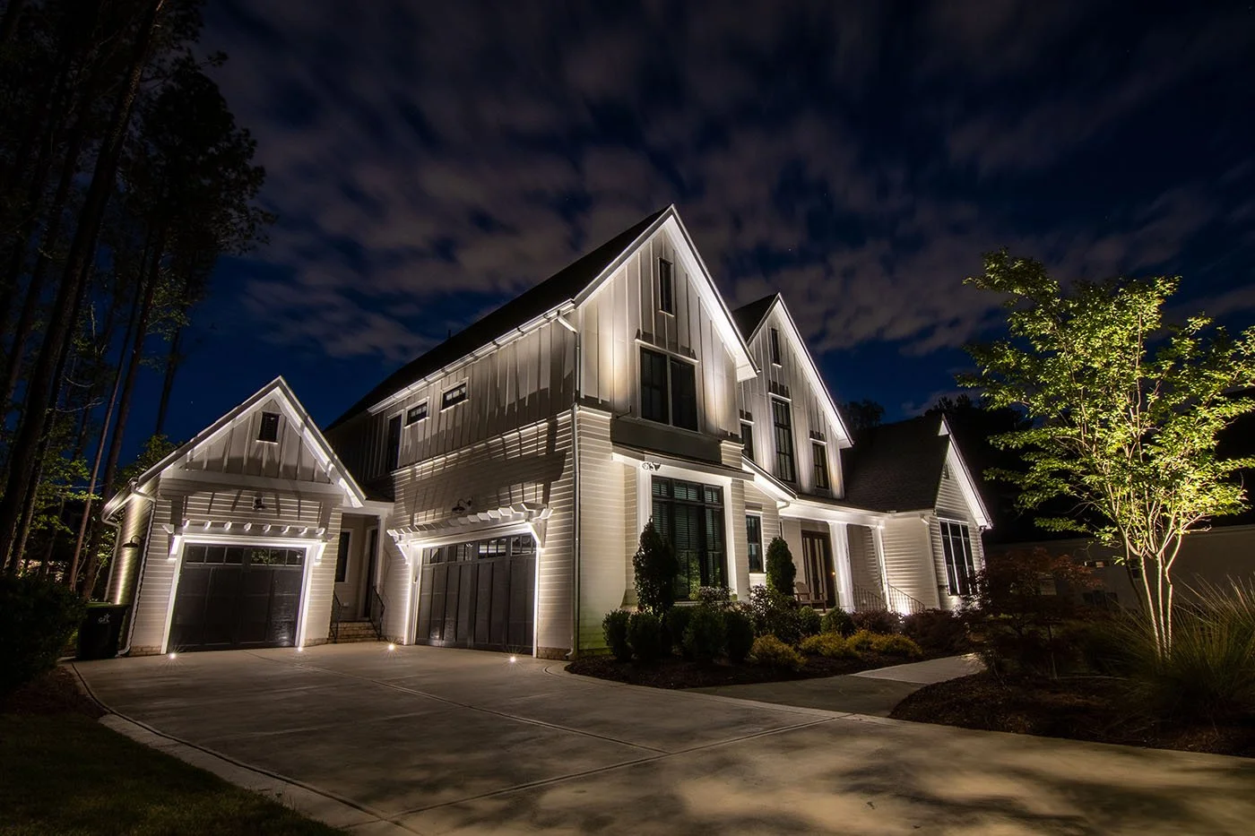 Professional Landscape Lighting