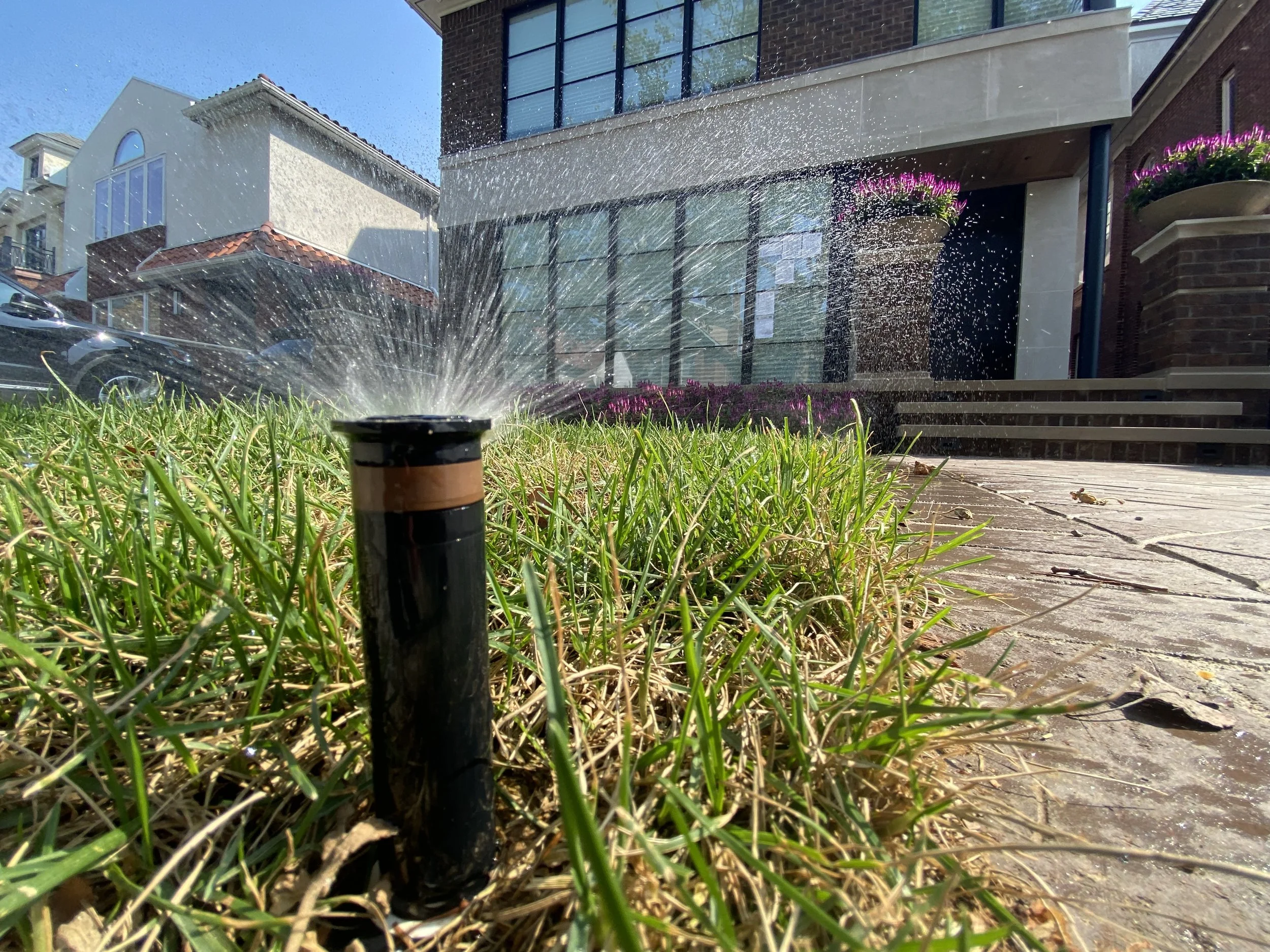 Sprinkler Head Repairs