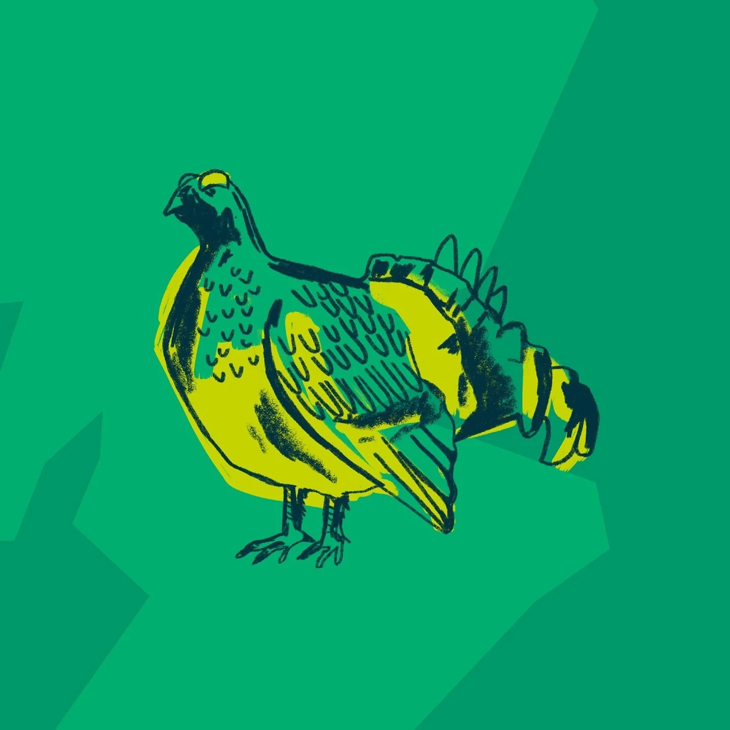 🪶🦭🌱 #ScotlandLovesNature