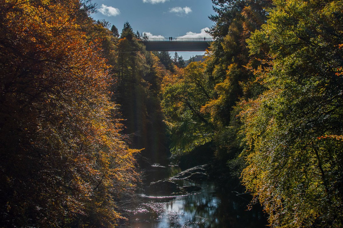 photography samples-13.jpg