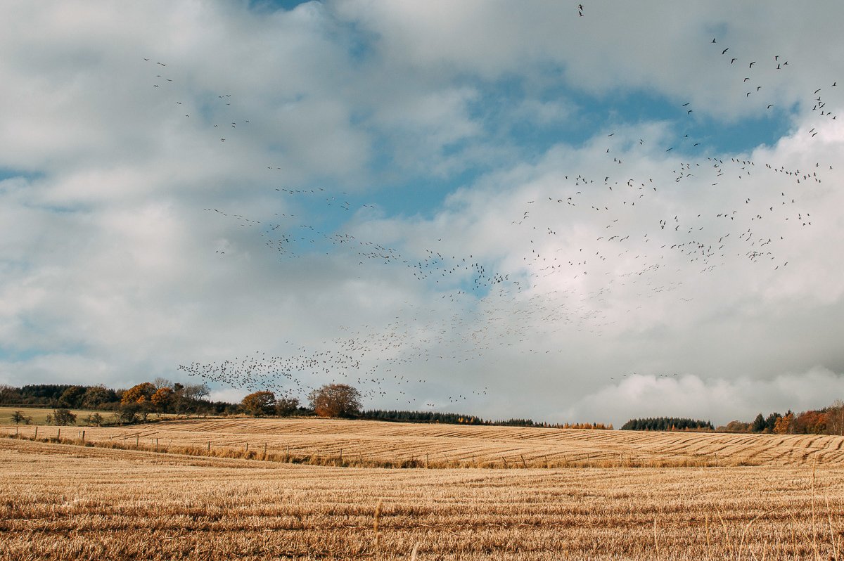 photography samples-18.jpg