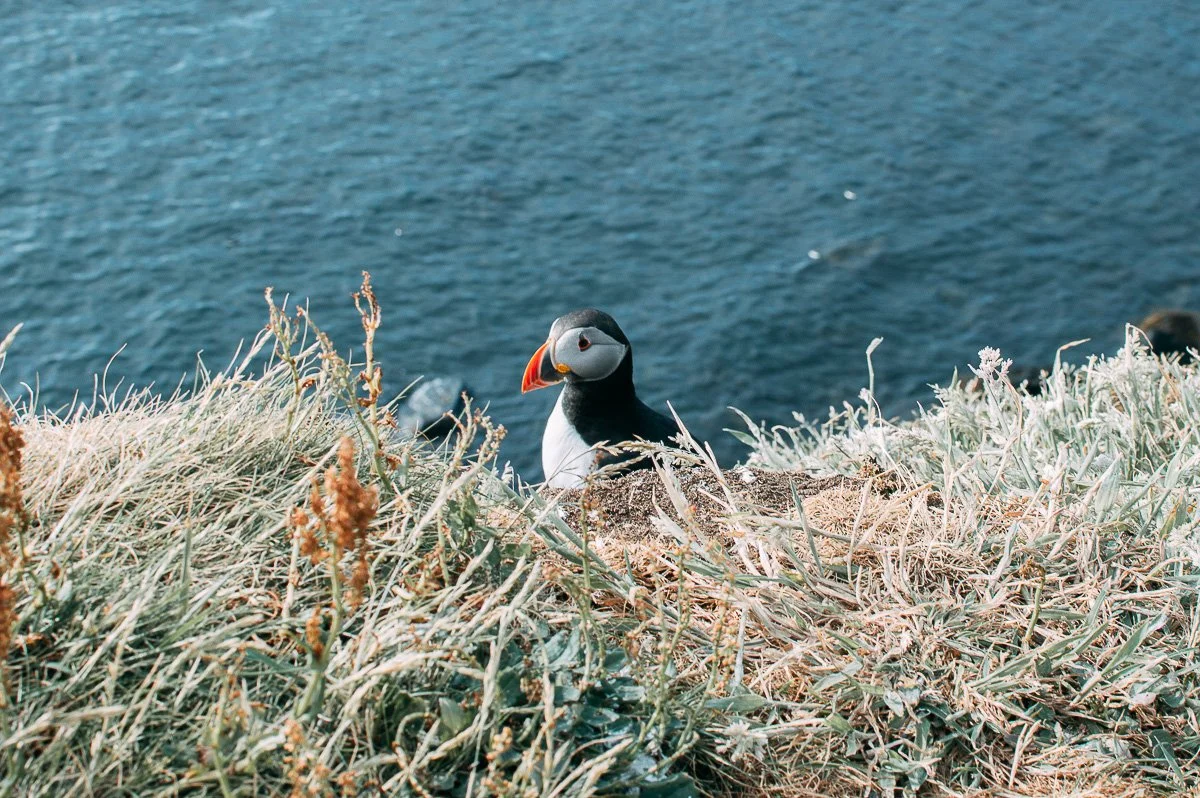 photography samples-8.jpg