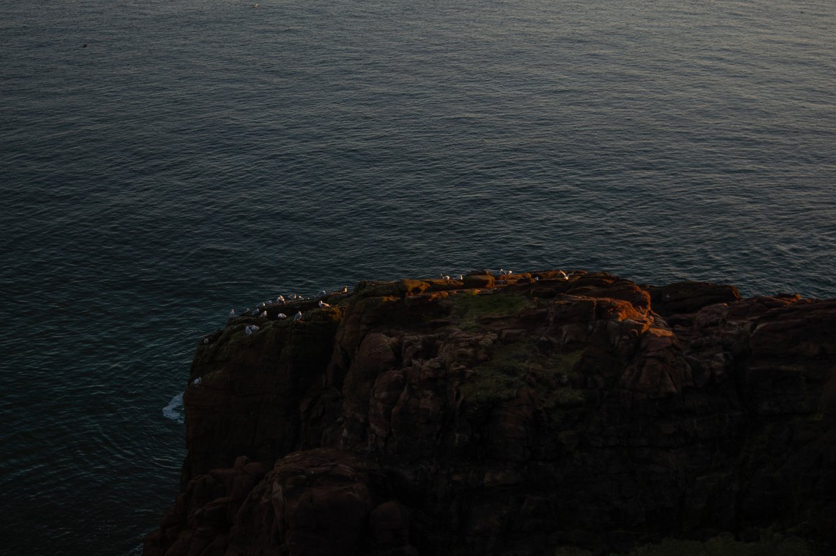 photography samples.jpg