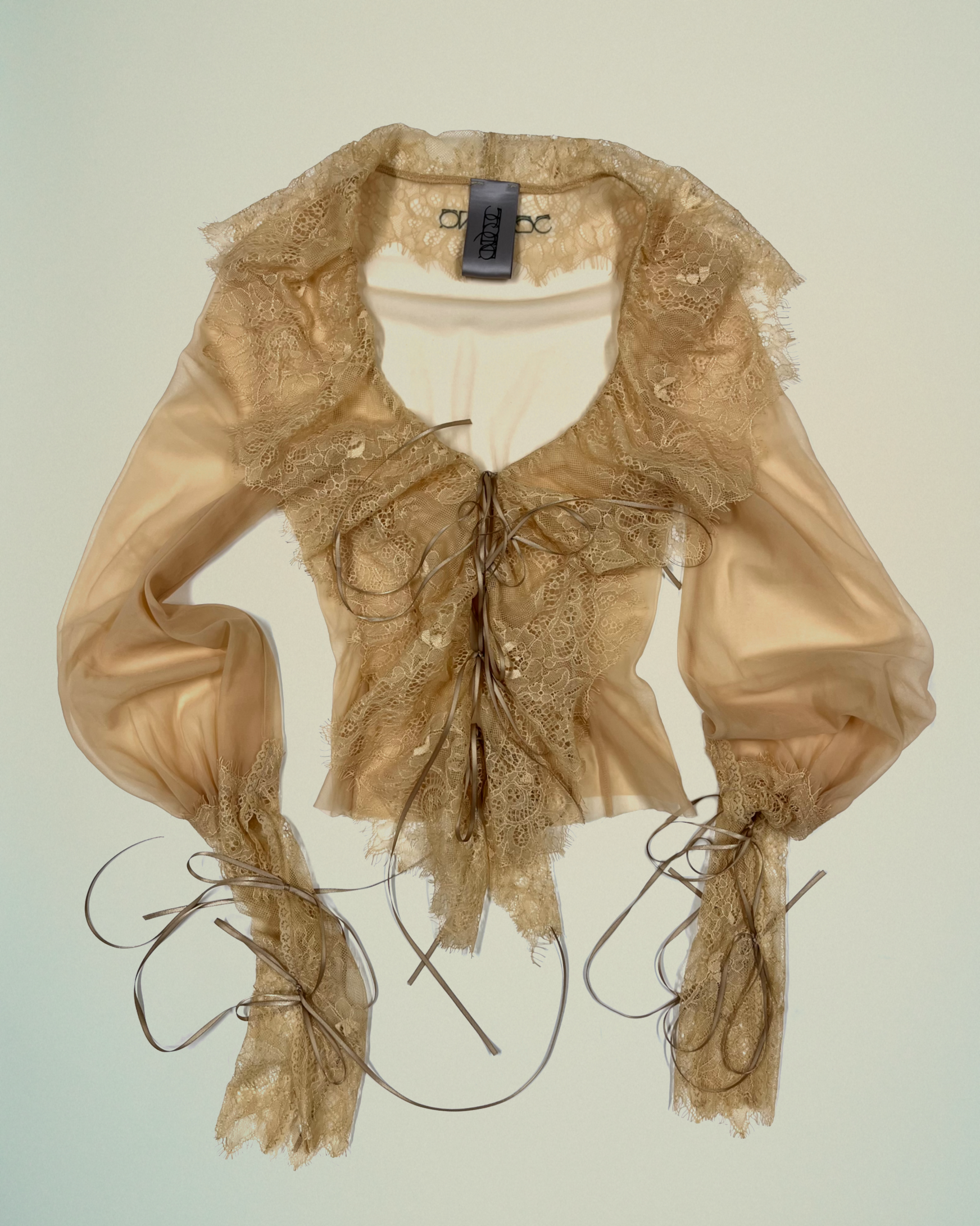 Translucent Victorian Blouse