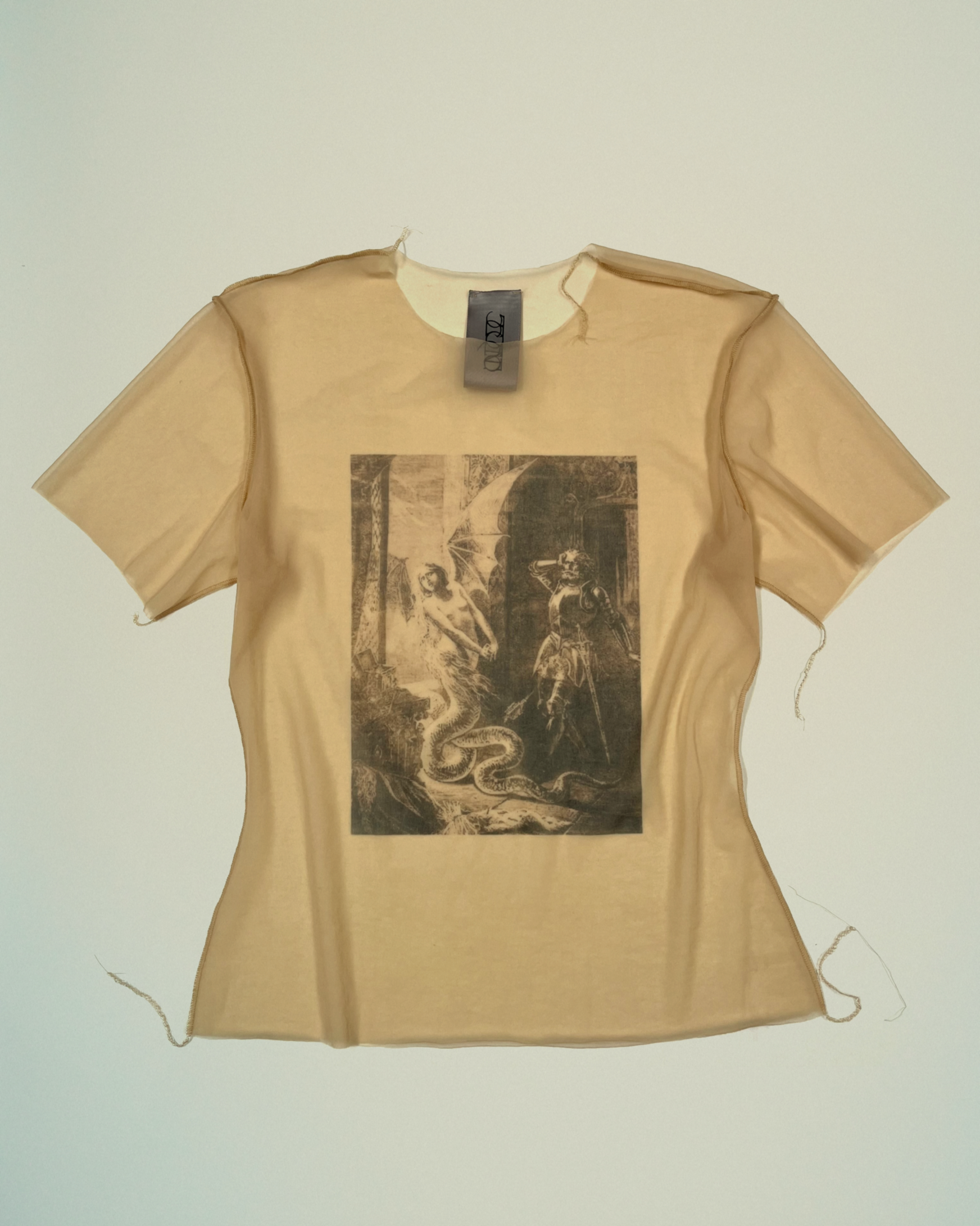 Printed mesh Tee - Gustave Doré Series