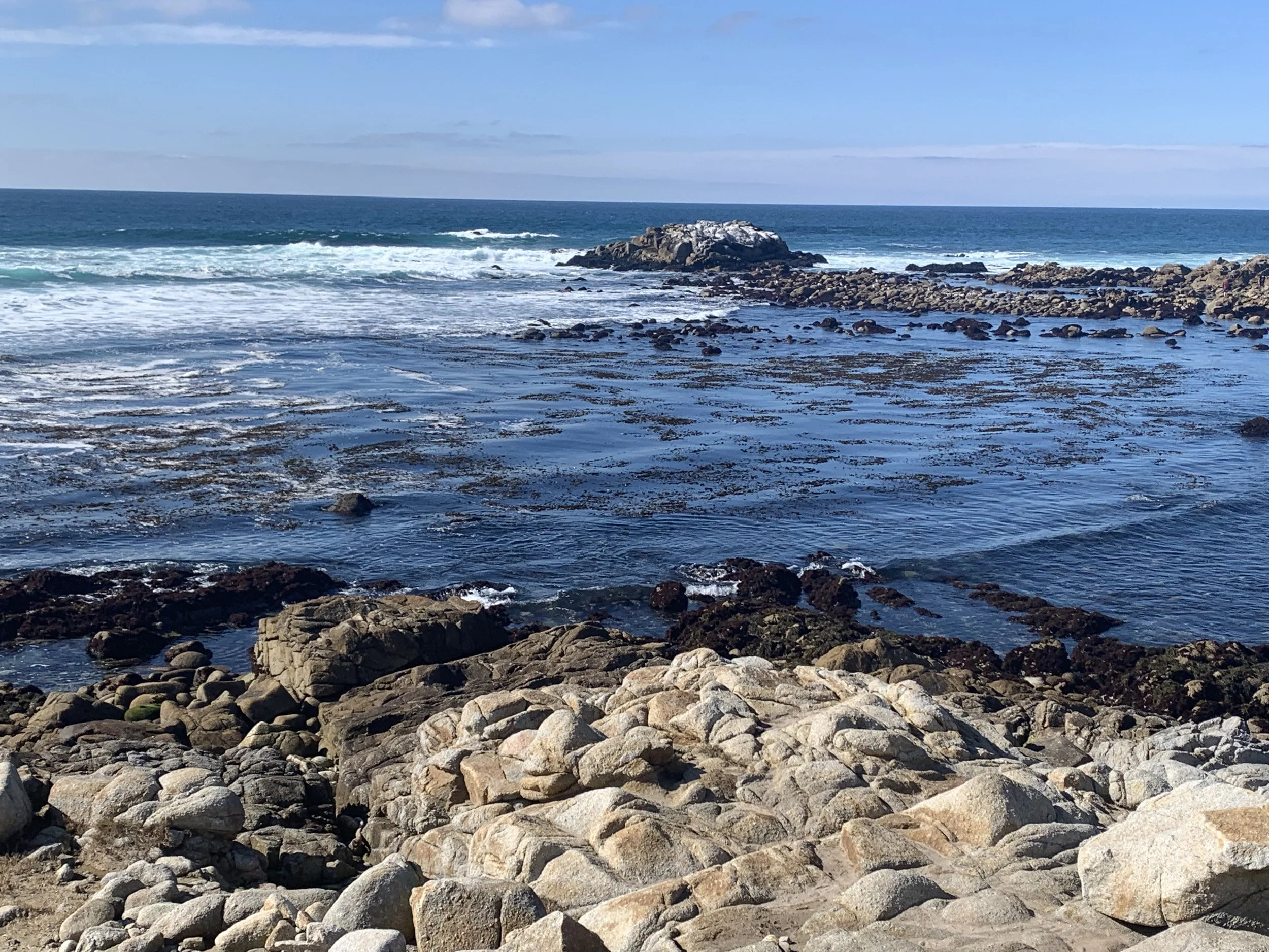 Rector’s Reflection - March 2024