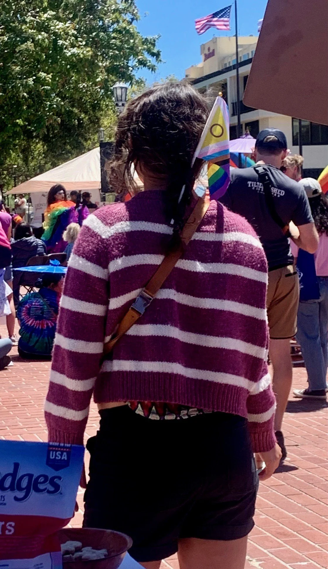 Joy with pride flag in hair.jpeg