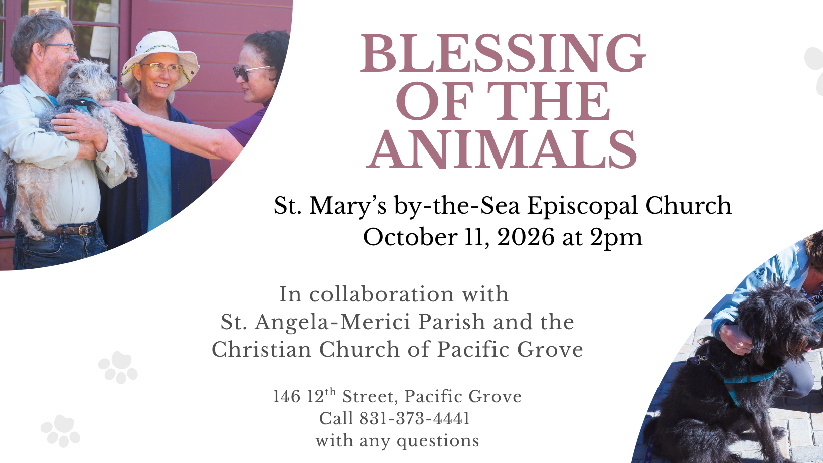 Blessing of the Animals