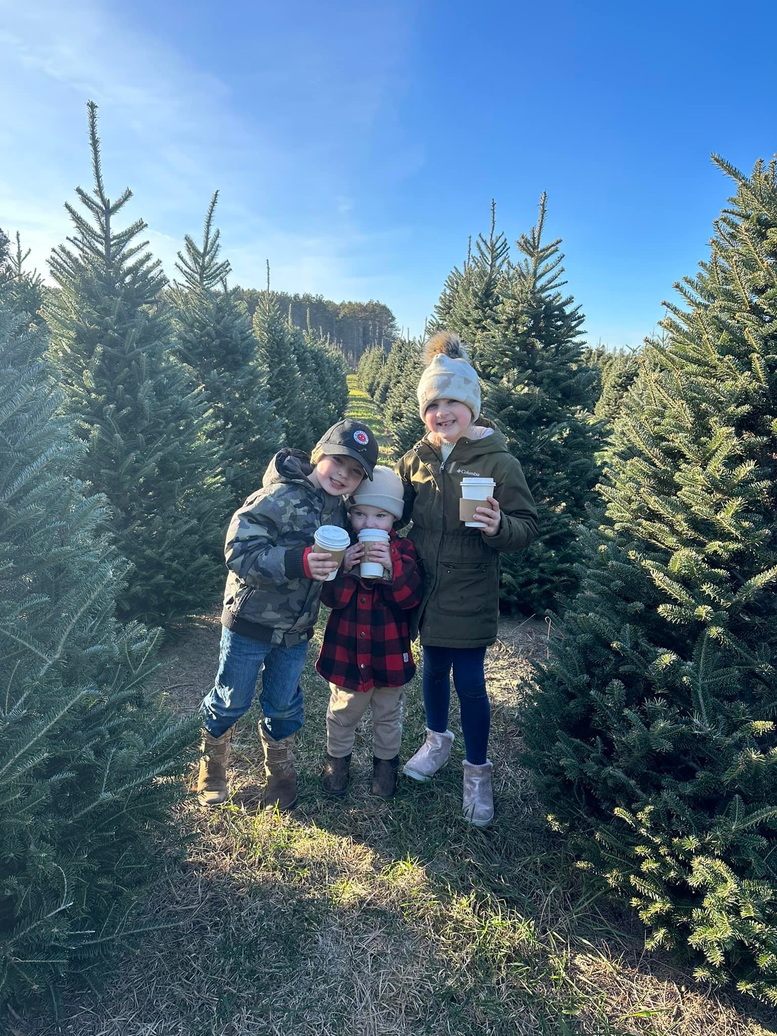 Picking the perfect Christmas tree 🎄