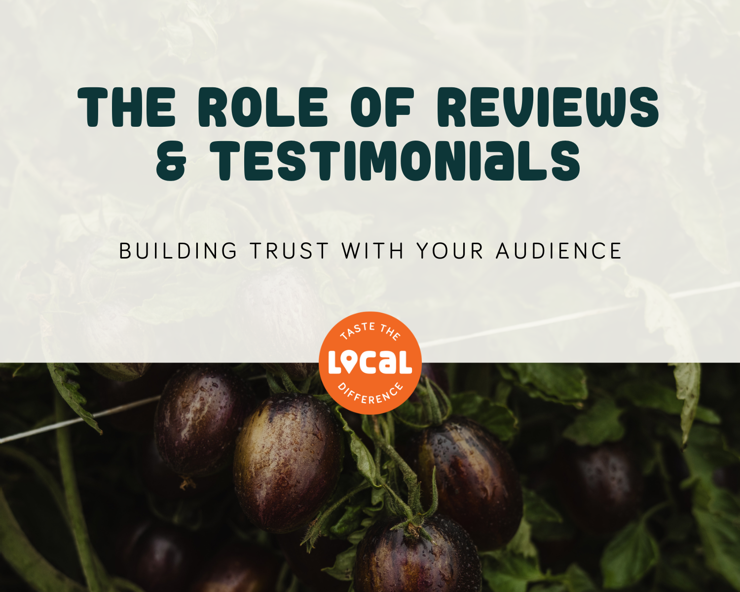 The Role of Reviews and Testimonials: Building Trust with Your Audience