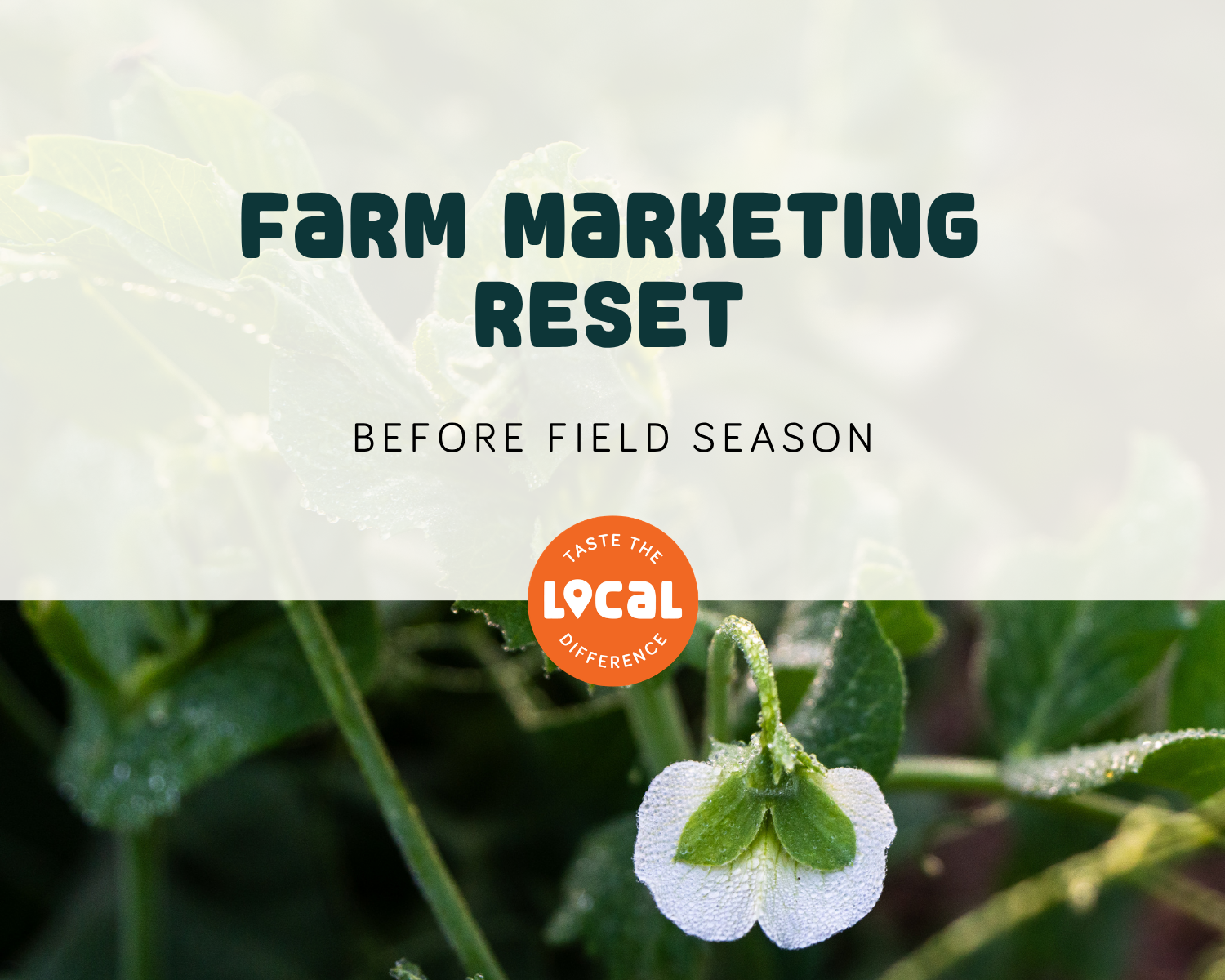 Farm Marketing Reset Before Field Season
