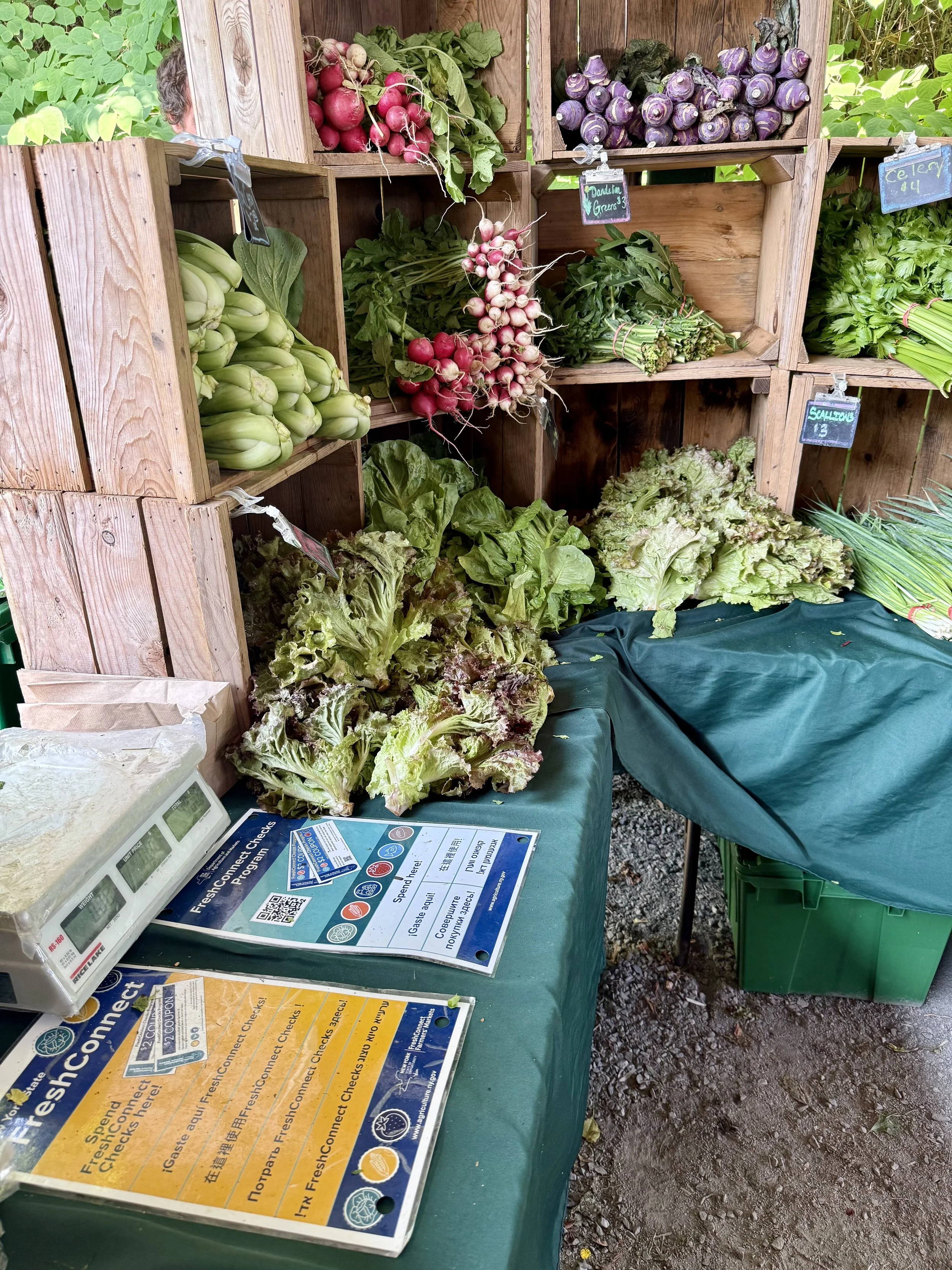 A group of people on a farm near a pile of compost