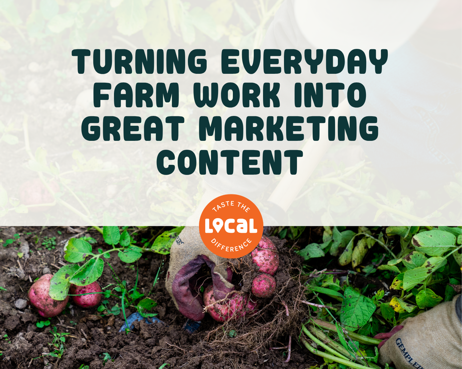 Turning Everyday Farm Work into Great Marketing Content