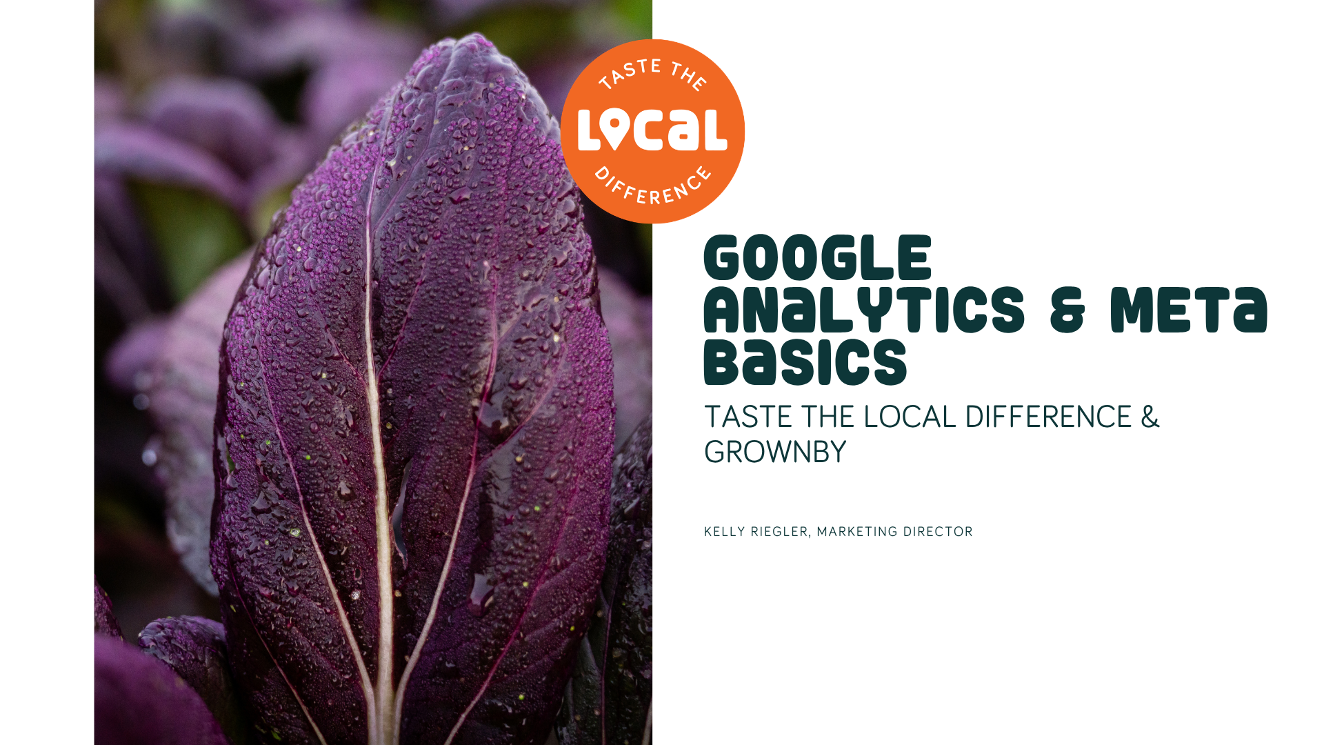Google Analytics &amp; Meta Basics
