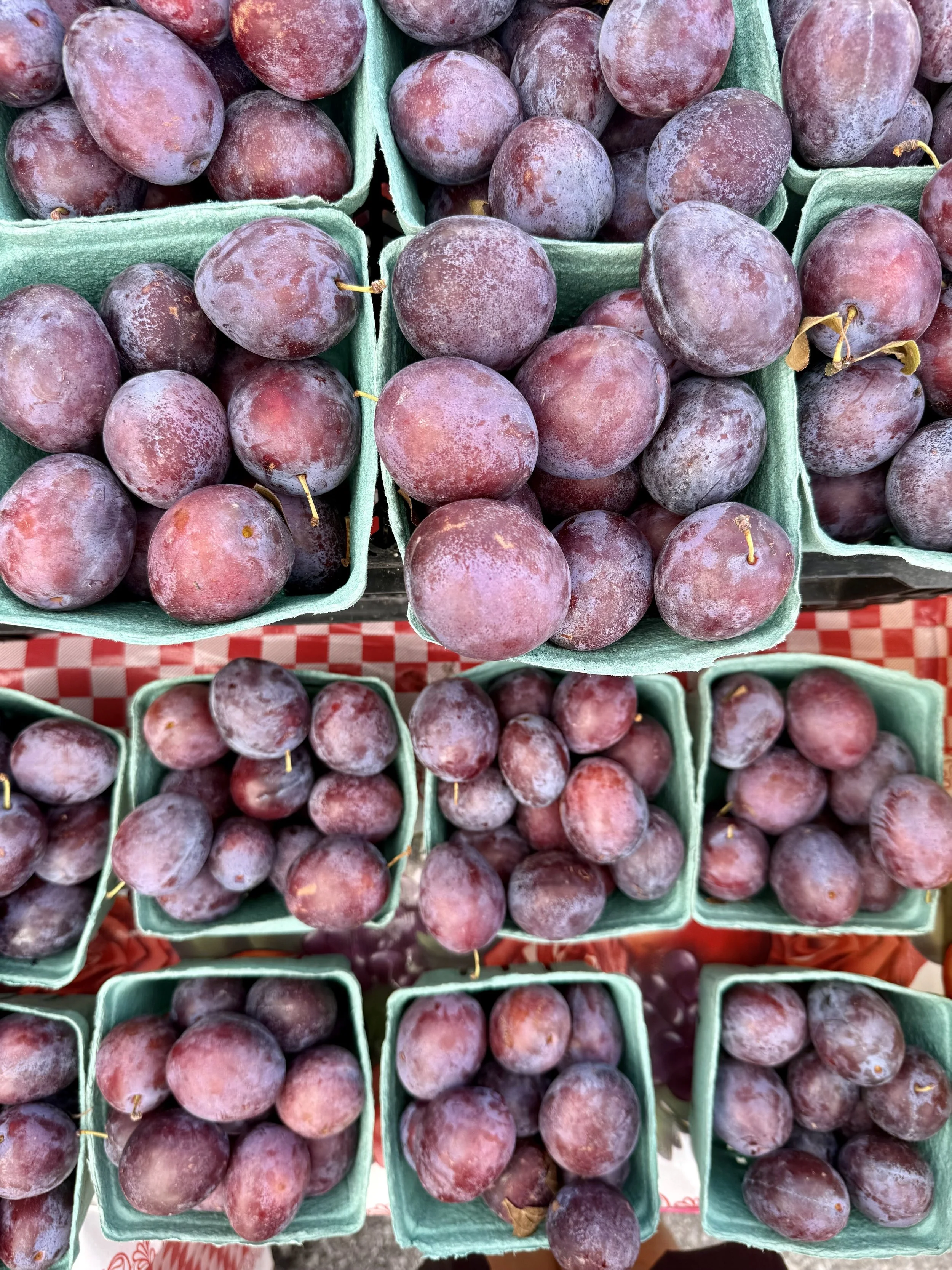 Plums at the farmers market from Breezy Hill Orchard