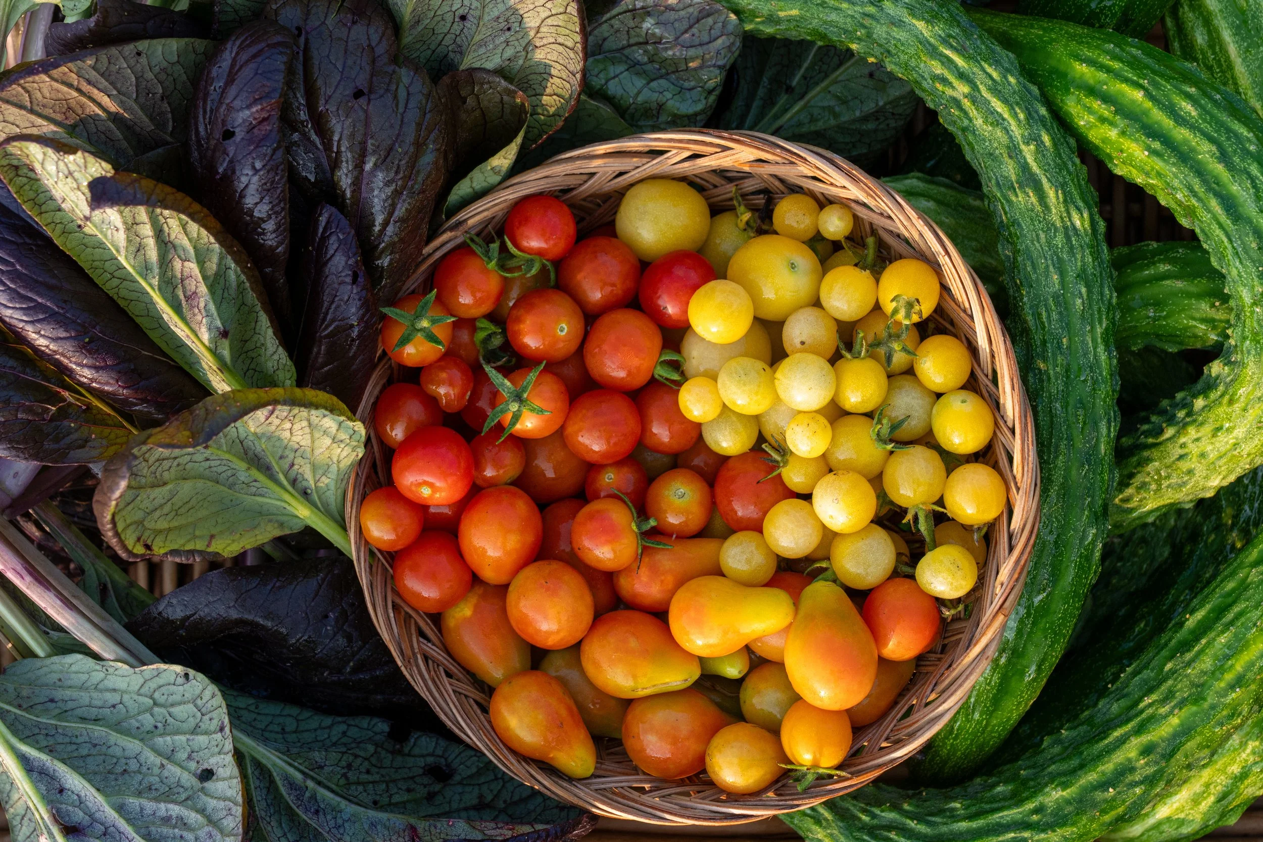 A close-up of purple greens, a basket of colorful cherry tomatoes, and green melons.
