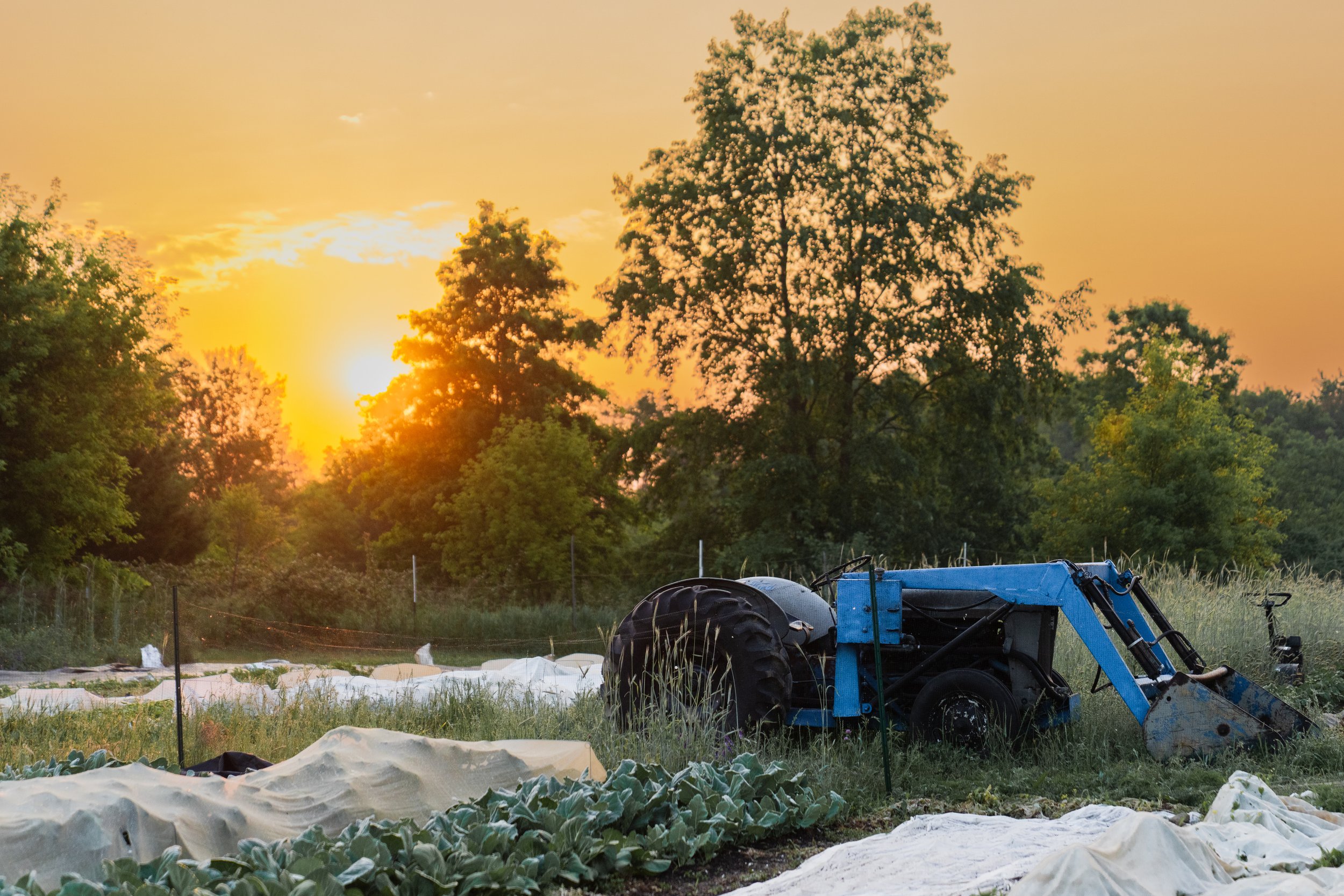 A blue tractor in a field at sunset