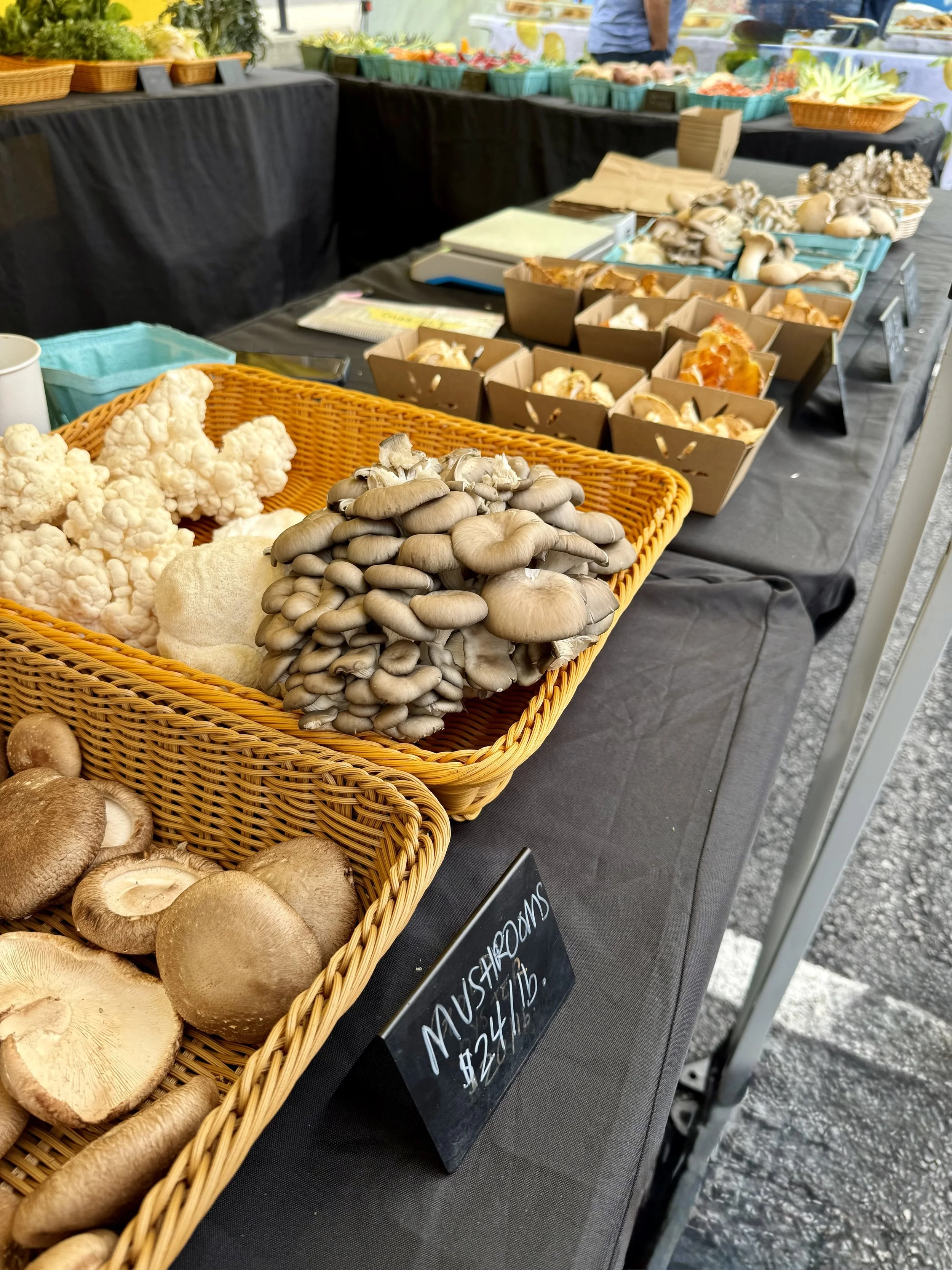 Mushrooms in wicker baskets and cardboard containers for sale at a New York farmers market