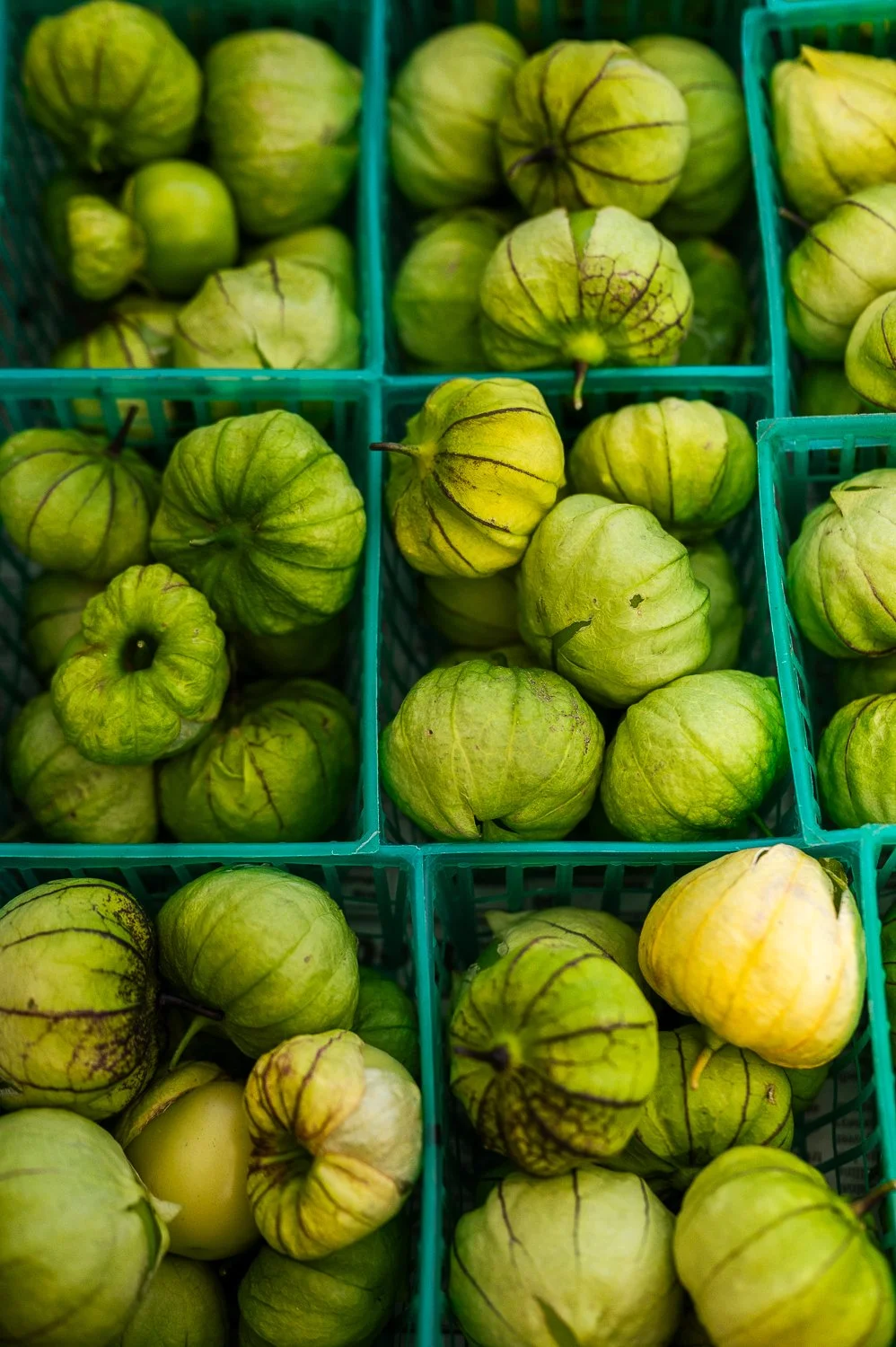 Tomatillos at the market