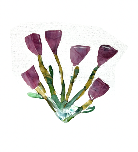 Screen Shot 2025-01-27 at 11.48.54 PM.png