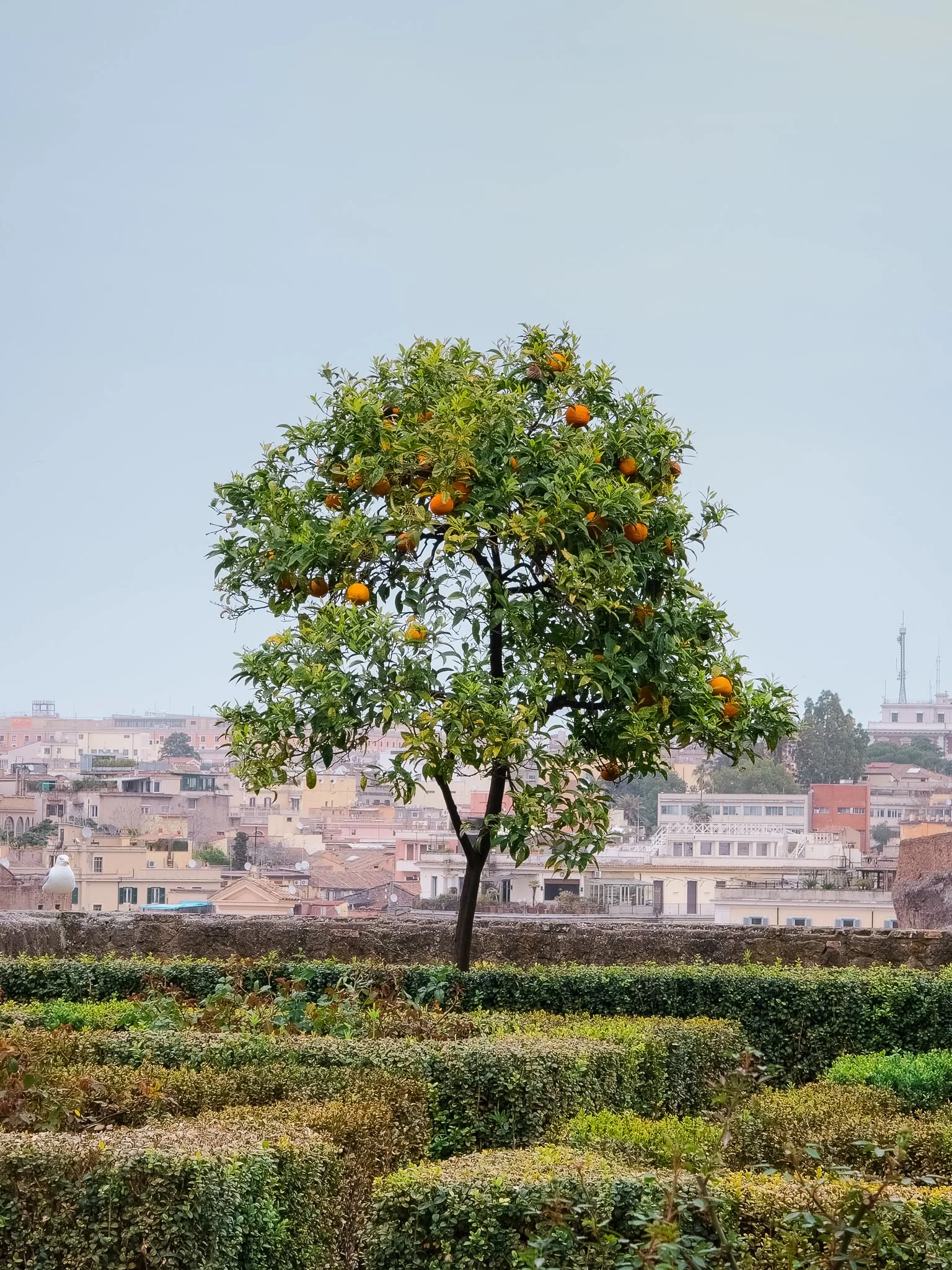 Rome_GalaxyS24Ultra-18.jpg