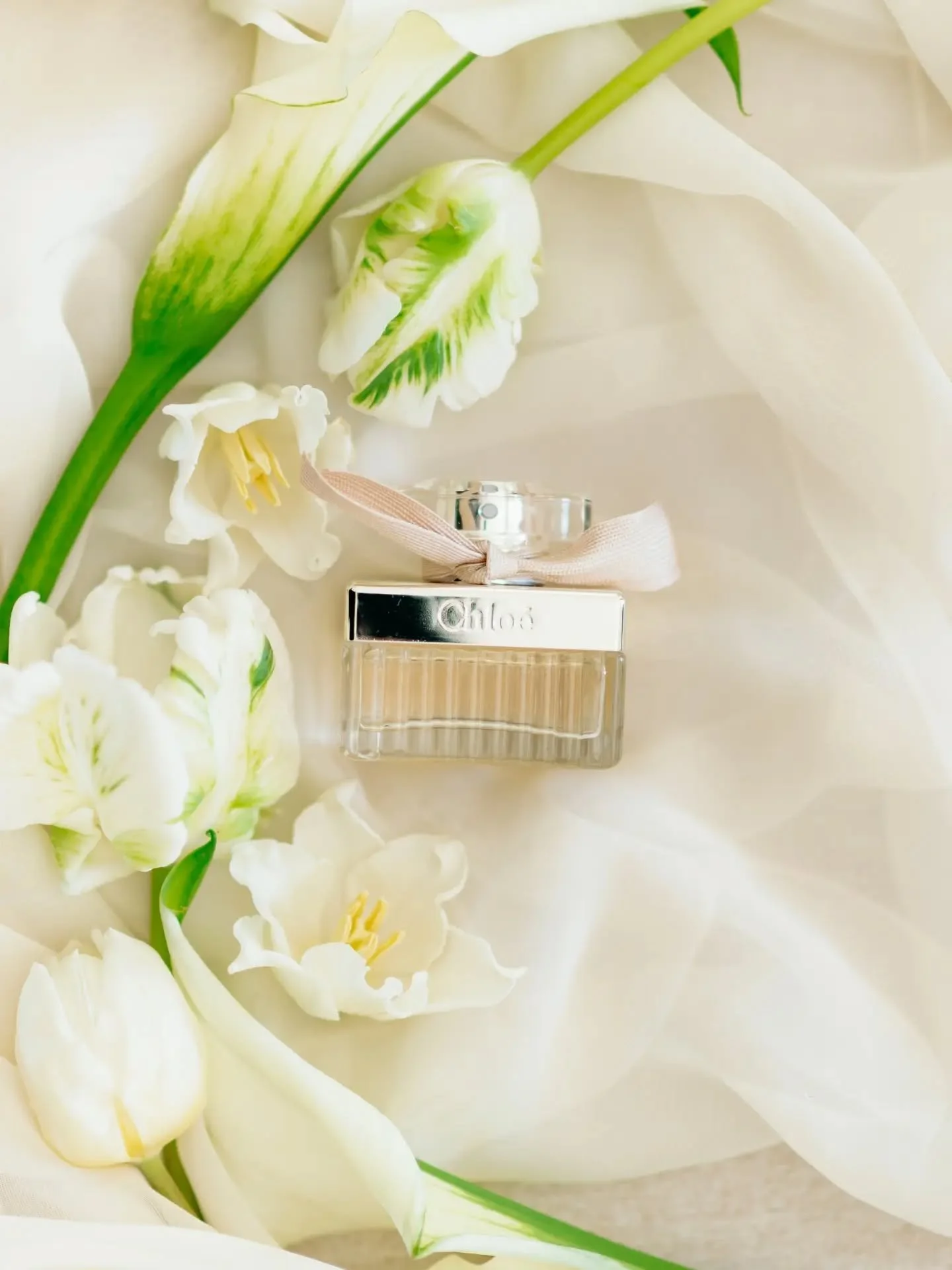 Maybe if you are looking for a film photographer, I will not be your person. Though, if you are looking for a gentle, fun, and guiding presence, who adores the "taking photos" part of the job, and handles with a subtle balance the digital a