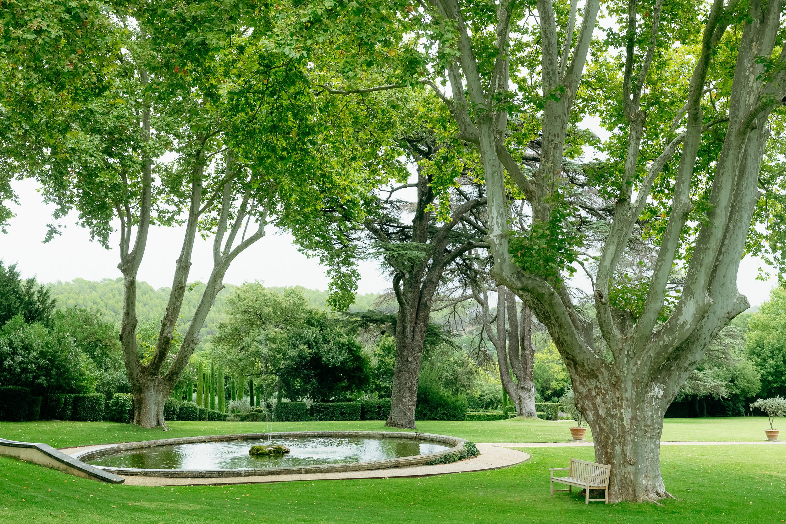 Romantic garden setting at Domaine de Fontenille in Provence: a tranquil oval stone basin surrounded by majestic centuries-old plane trees with sprawling branches, a manicured lawn, a small wooden bench in dappled shade, and clipped hedges leading to