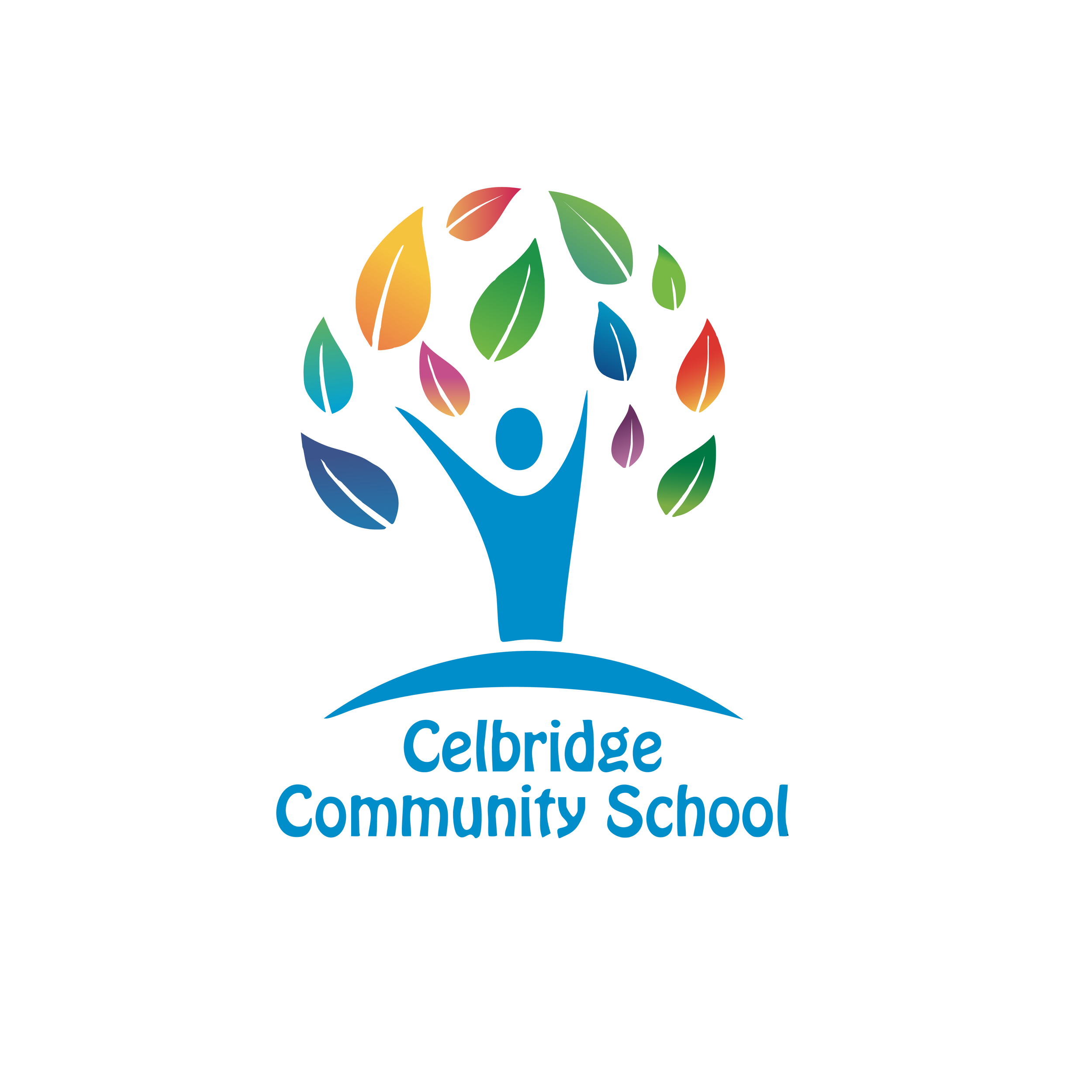 Celbridge Community School