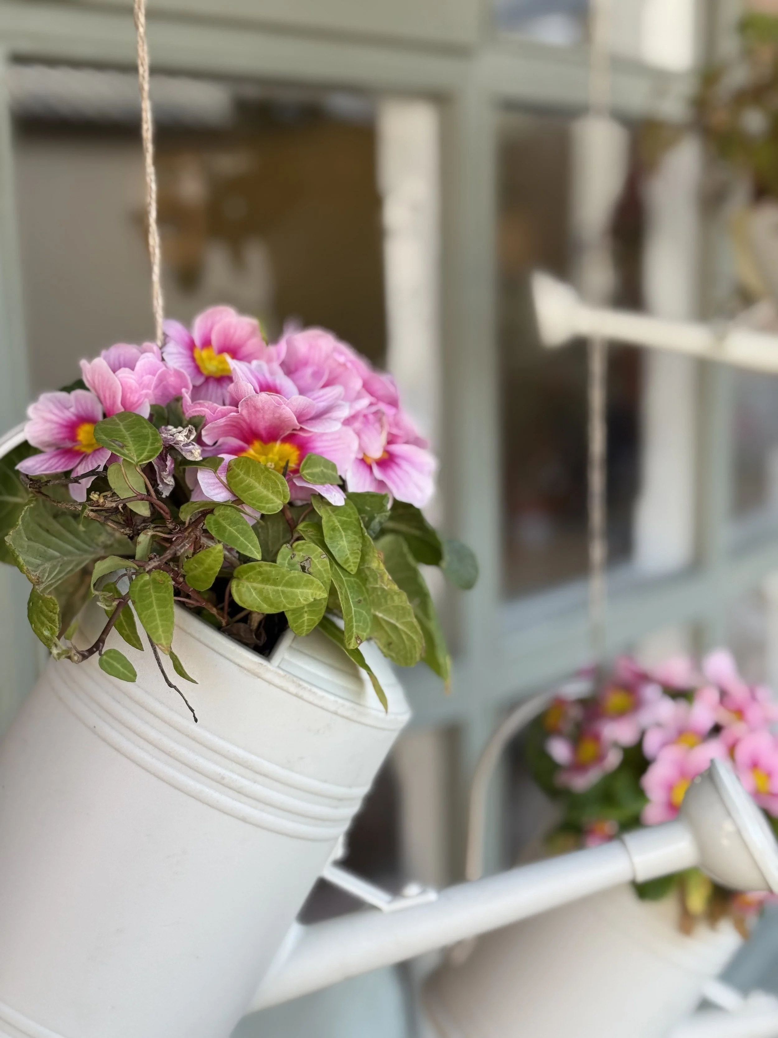 Lancashire Life Features WOW…