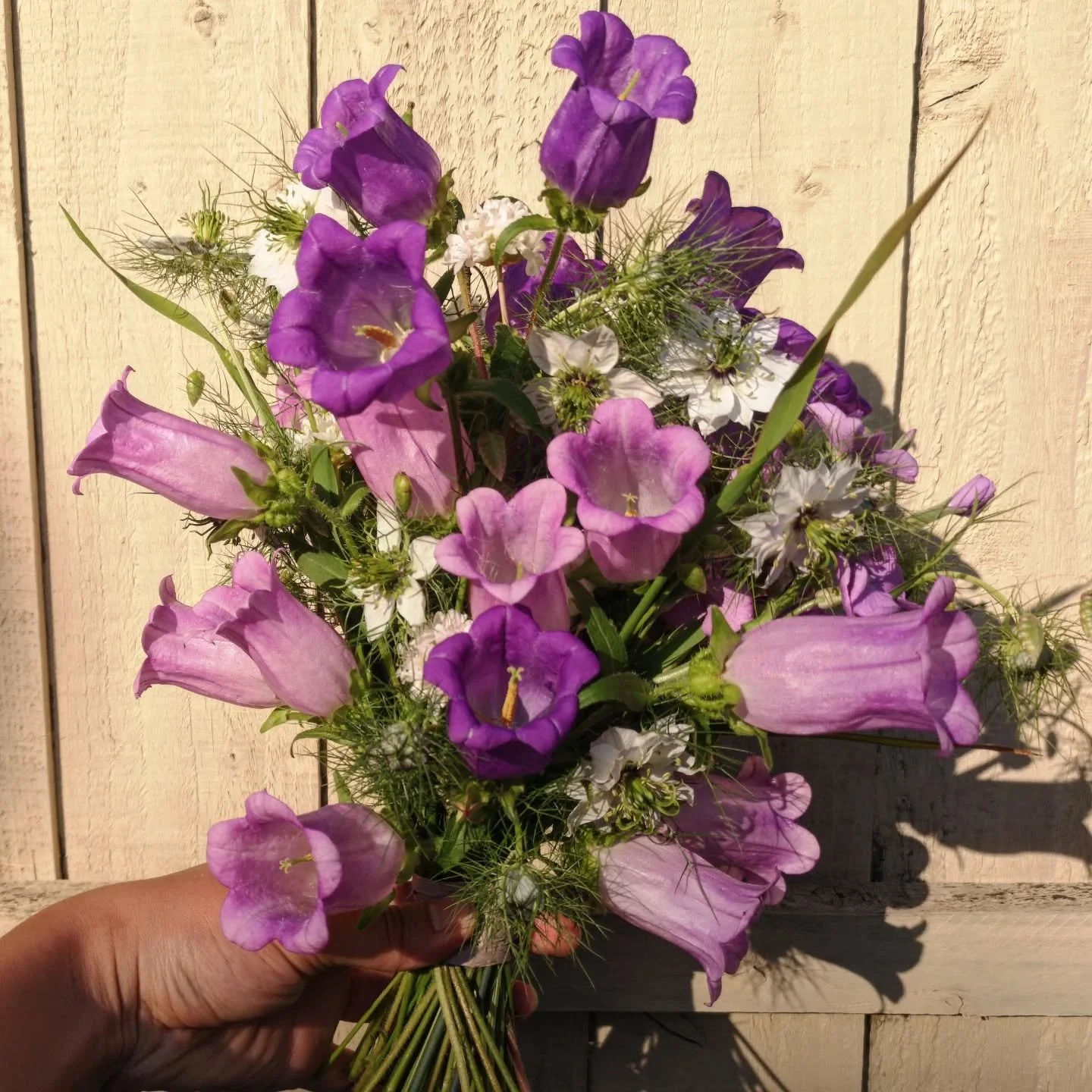 Spring bouquets 💍 

1 Canterbury bells and nigella

2 Peony tulips, narcissi, and choisya

3 Sage, nigella, armeria, and stock

4 Peony tulips, bluebells, and flowering spirea

If you're planning an elopement or eco-friendly micro wedding in Liverpo