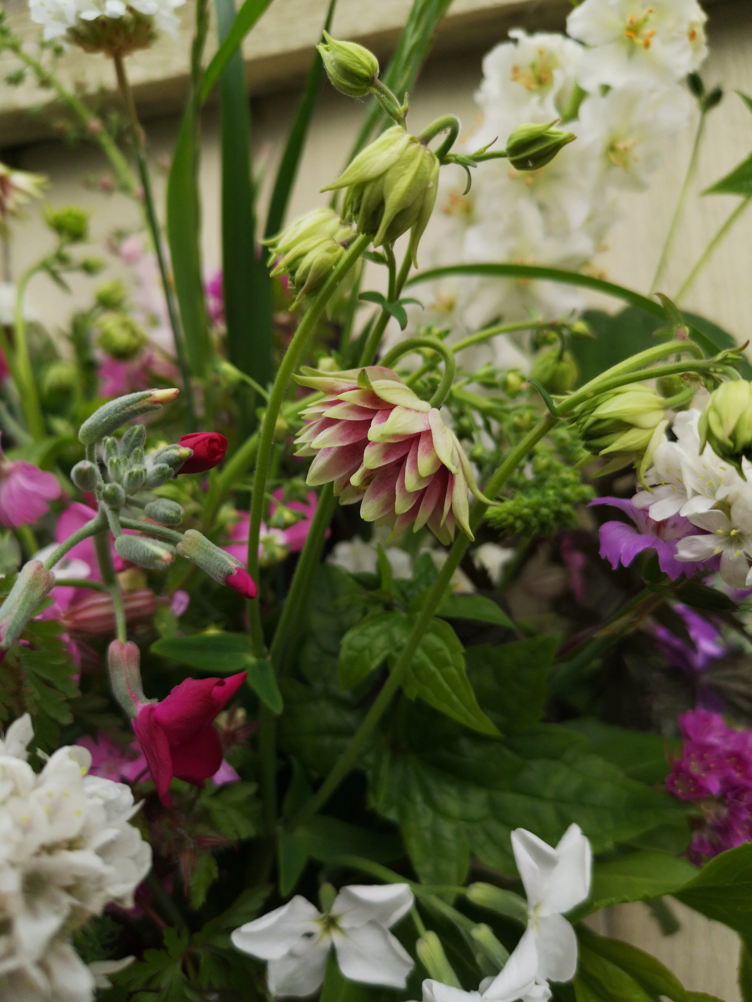 same day flower delivery liverpool florist.jpg