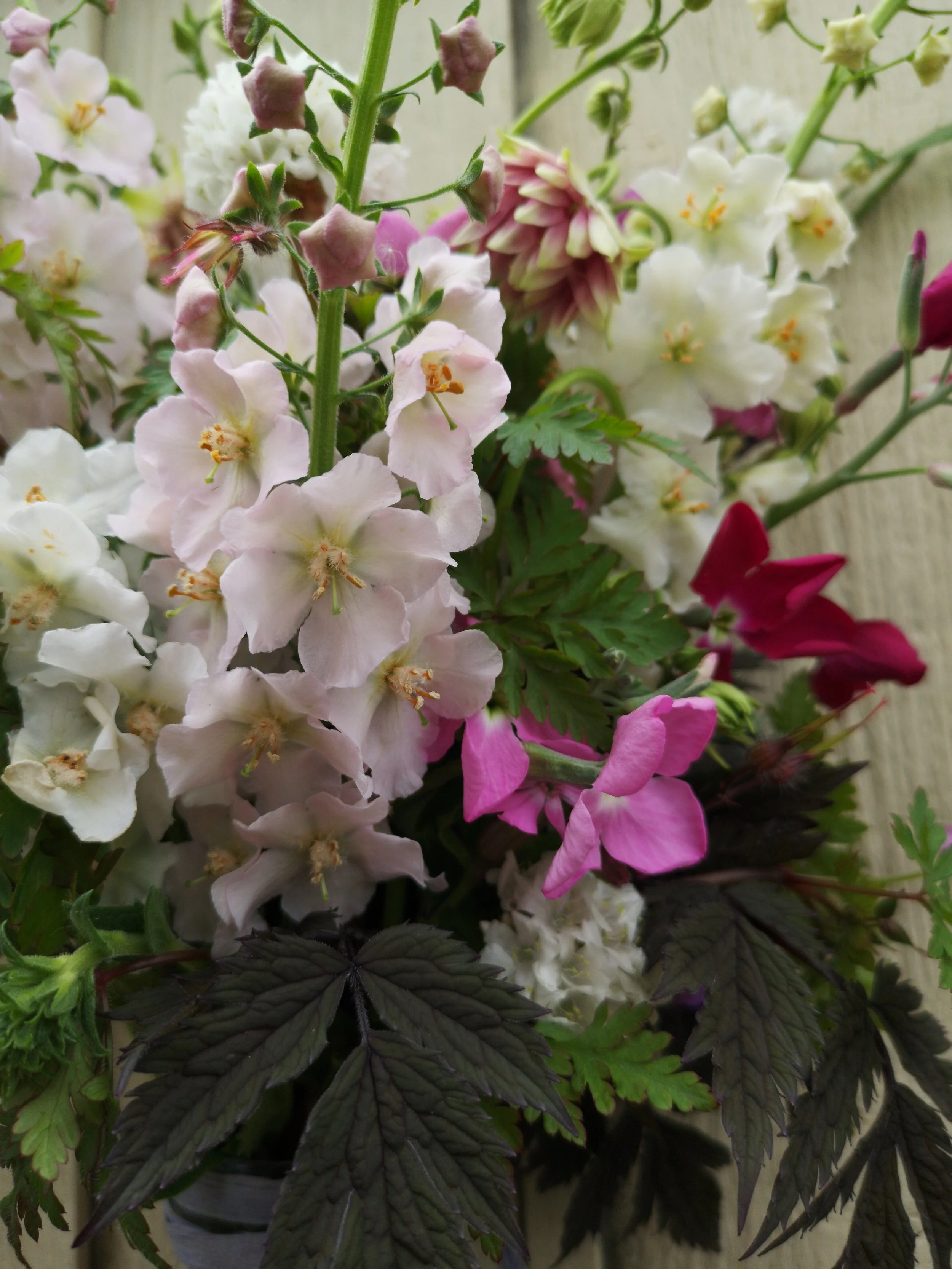 liverpool eco friendly florist.jpg