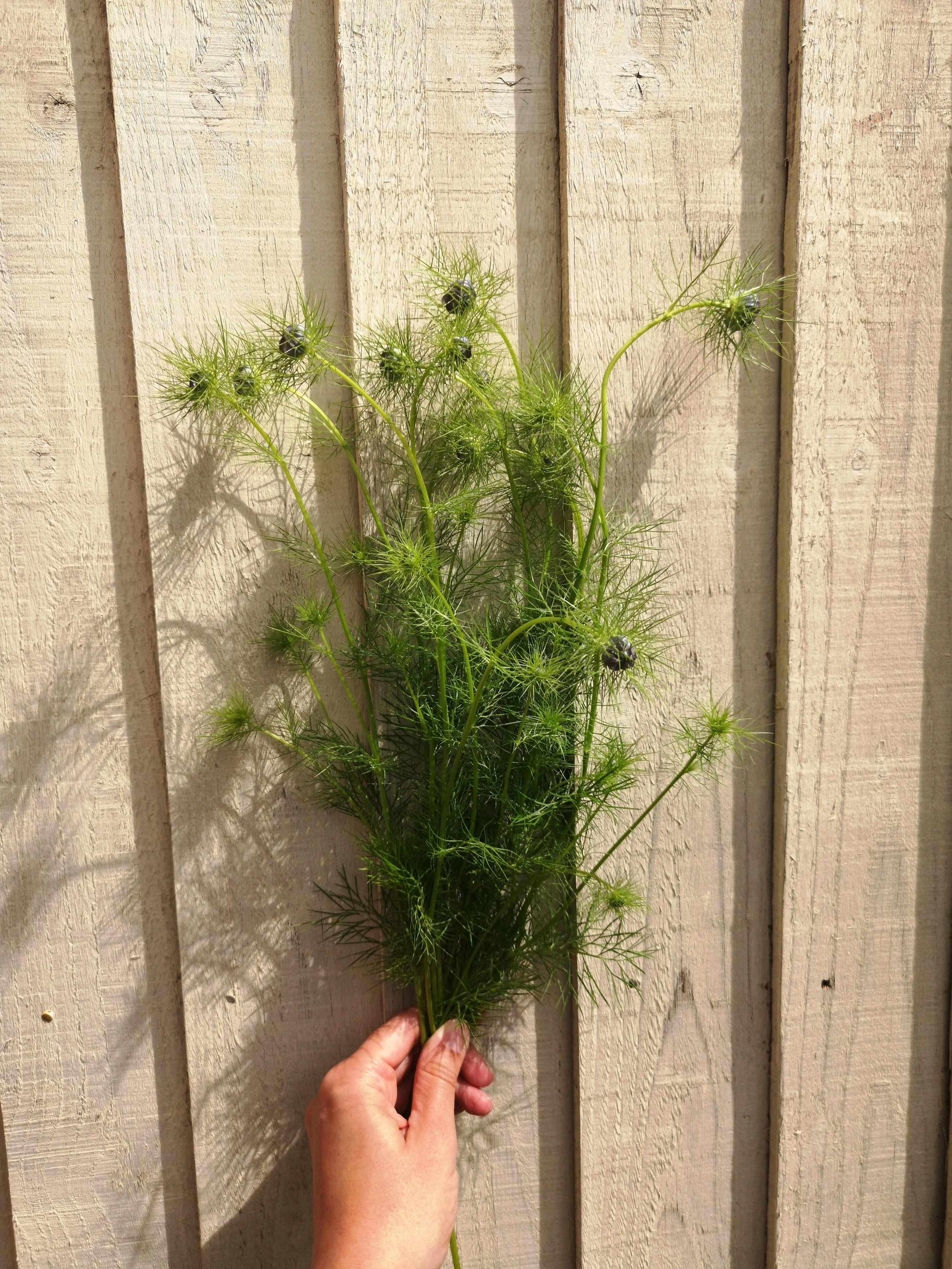 ecofriendly organic wedding flowers liverpool.jpg