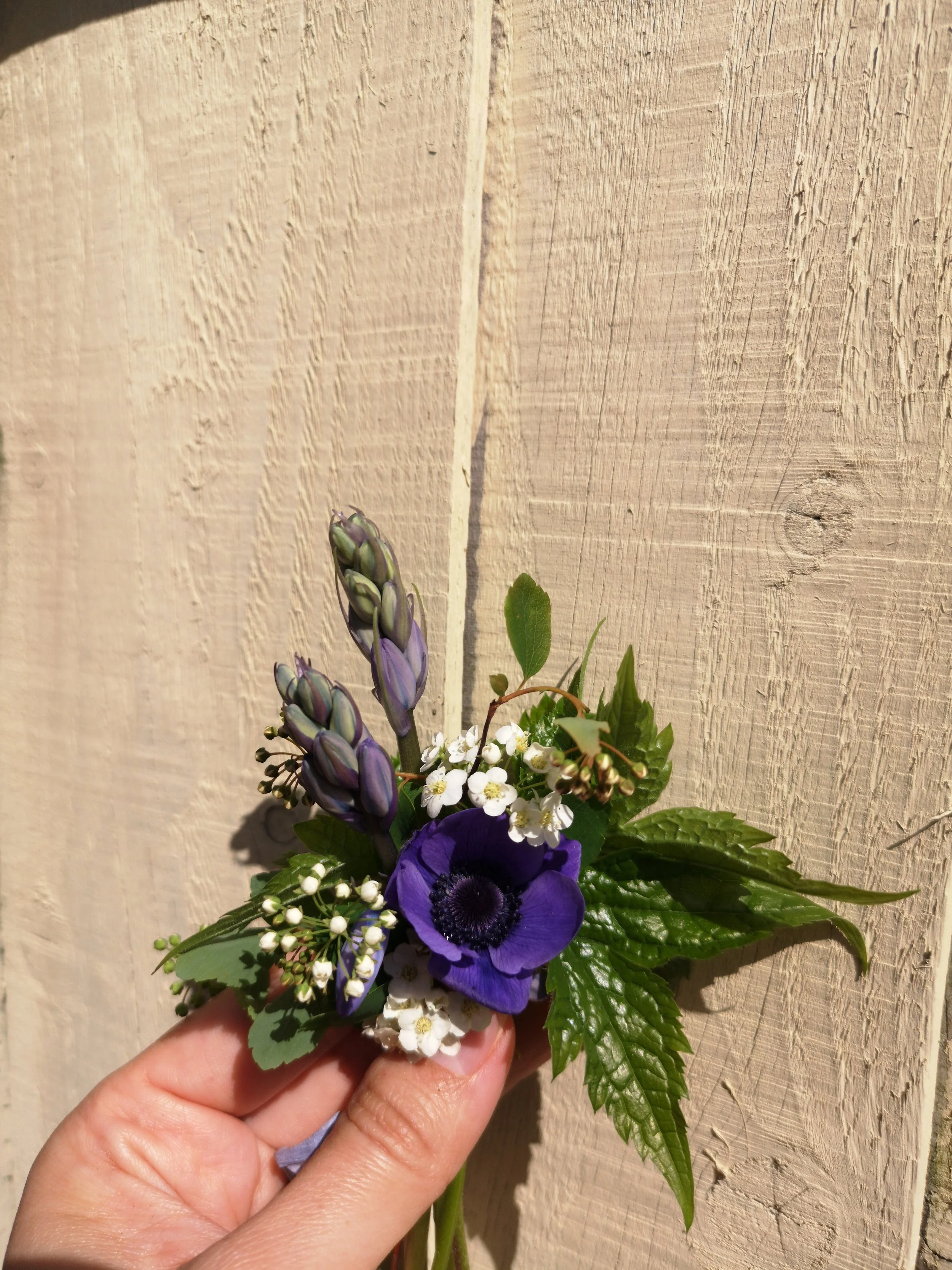 Spring Buttonhole - Blue