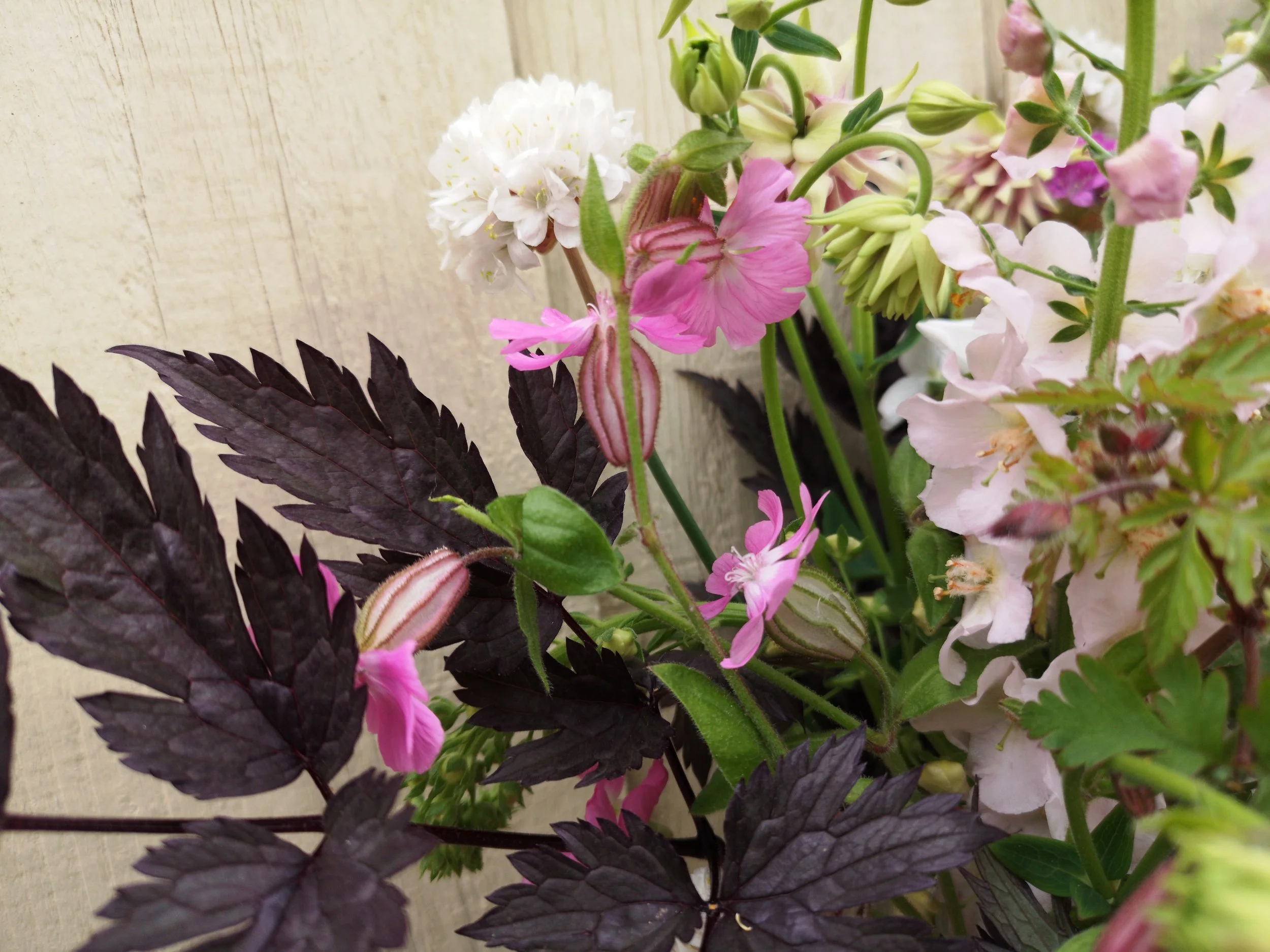 organic flowers delivery liverpool.jpg